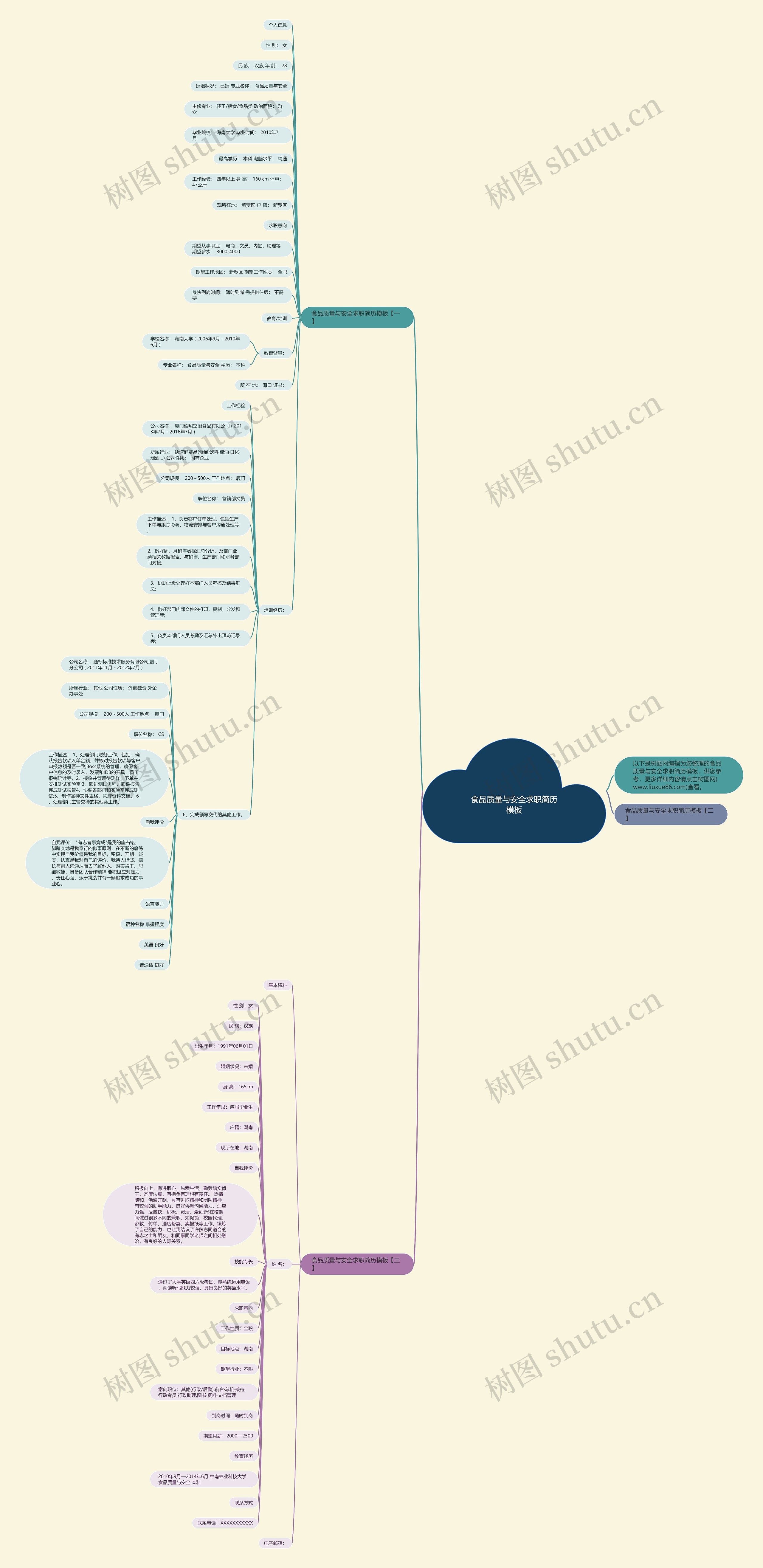 食品质量与安全求职简历思维导图