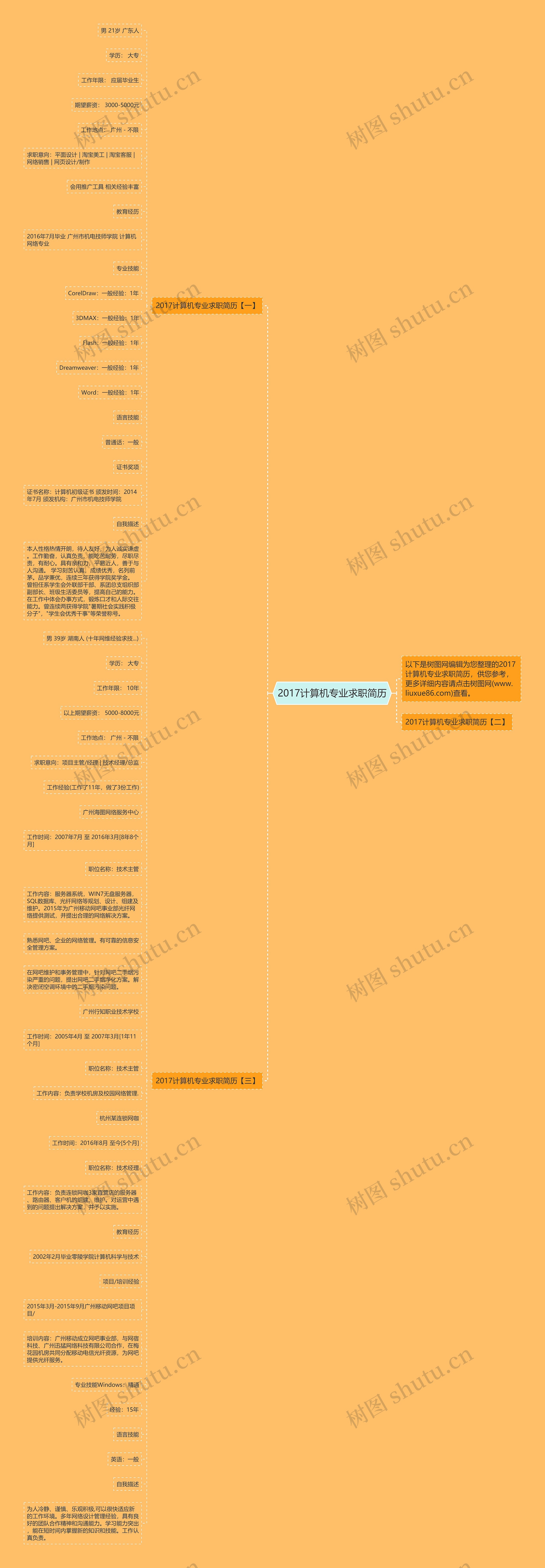 2017计算机专业求职简历思维导图