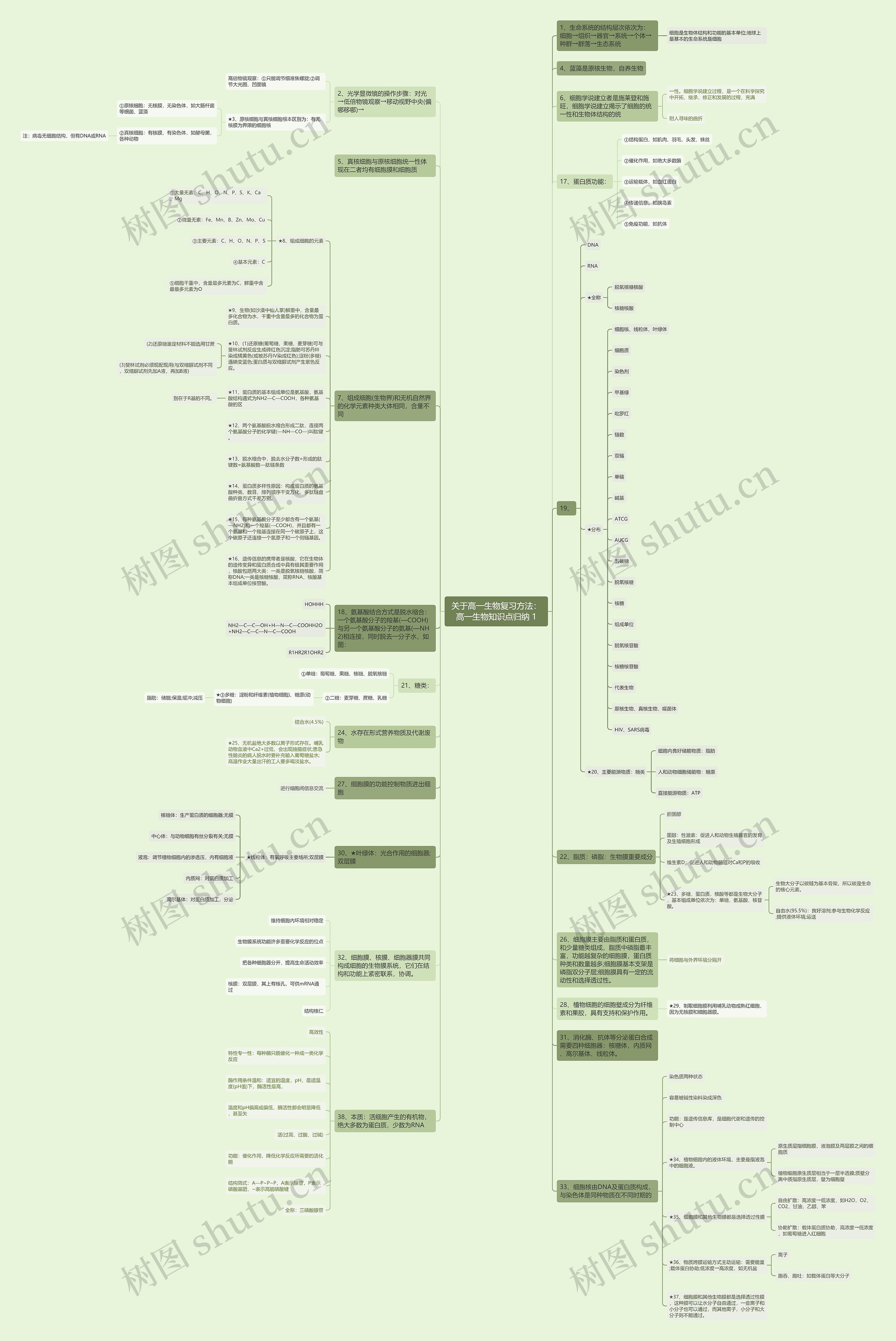 关于高一生物复习方法：高一生物知识点归纳 1思维导图