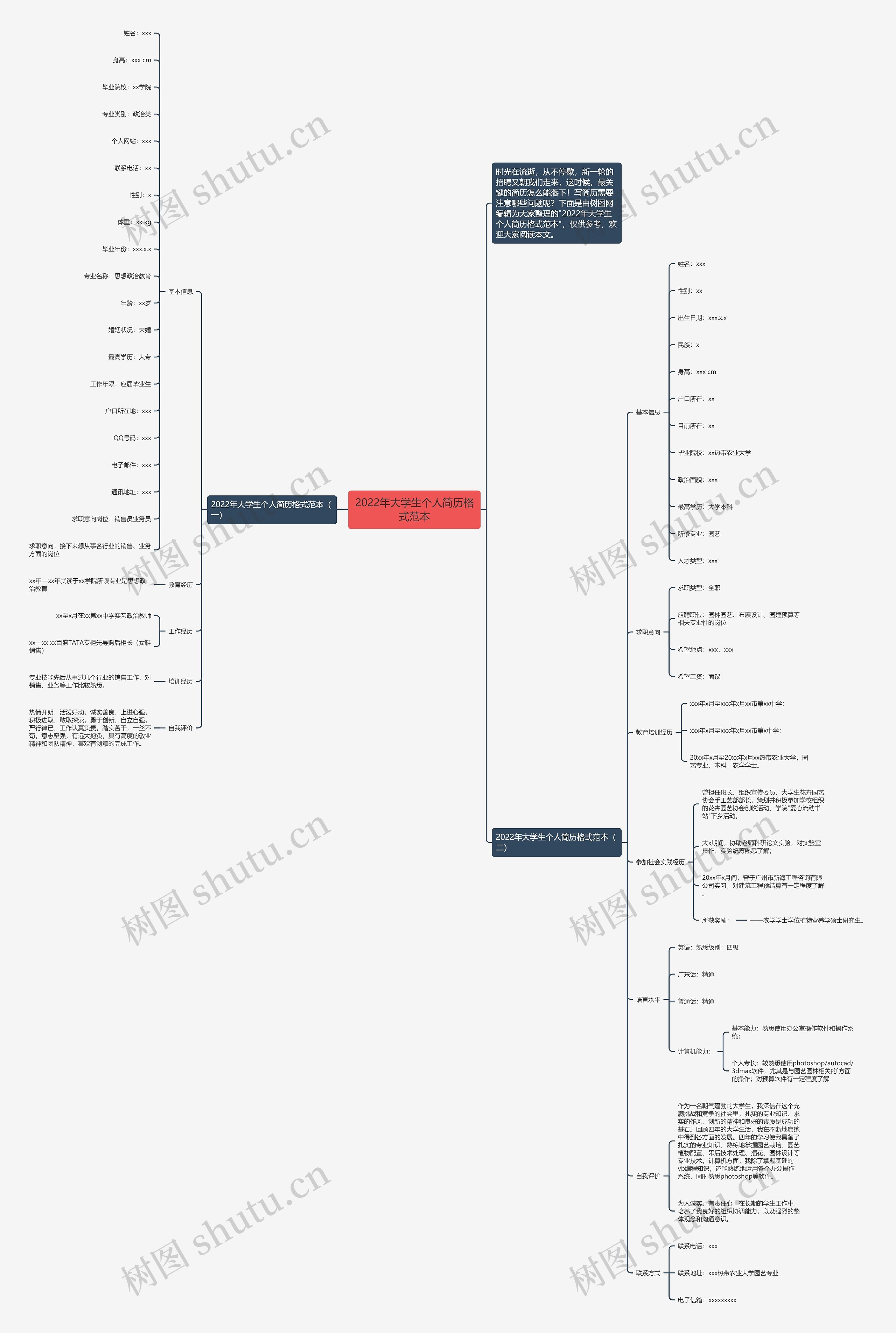 2022年大学生个人简历格式范本思维导图