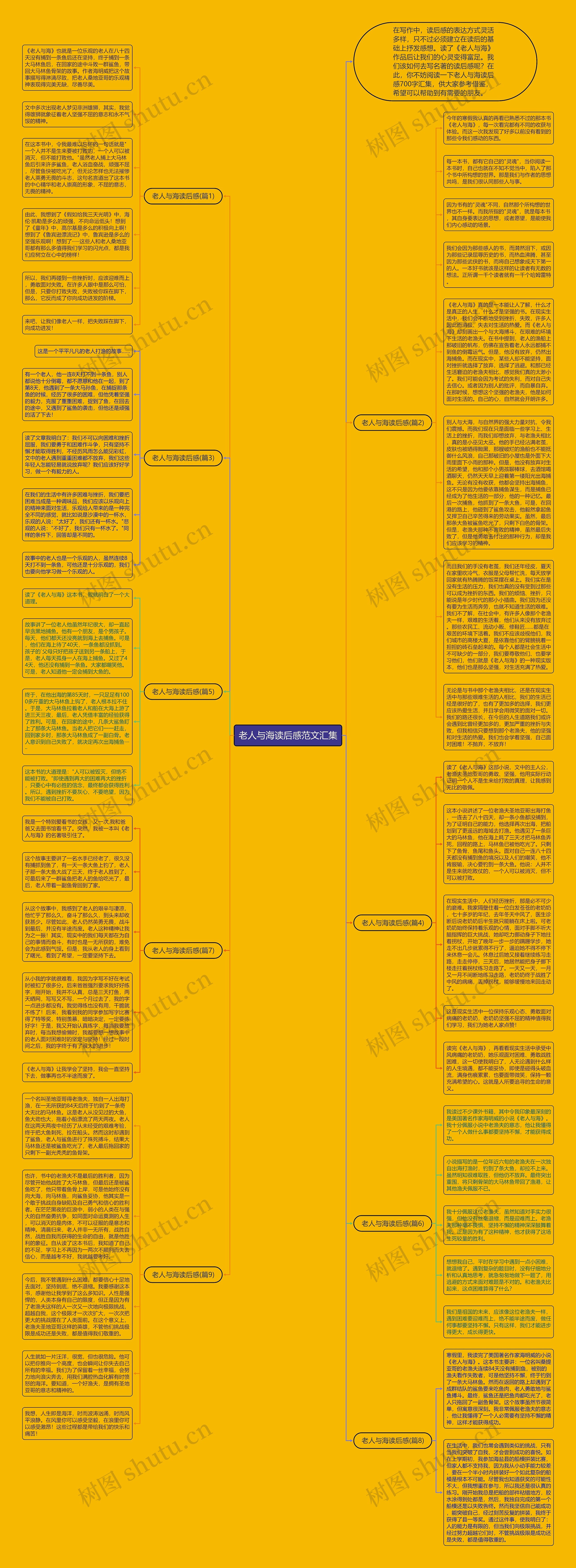 老人与海读后感范文汇集思维导图