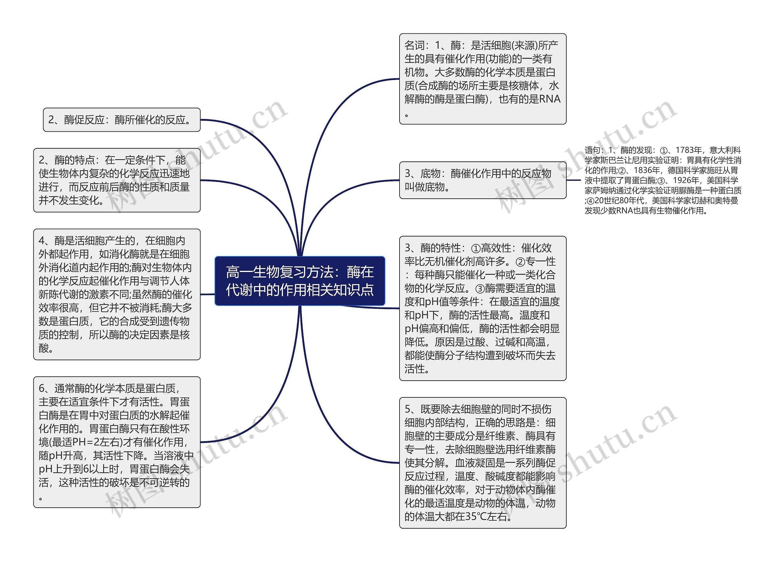 高一生物复习方法：酶在代谢中的作用相关知识点思维导图