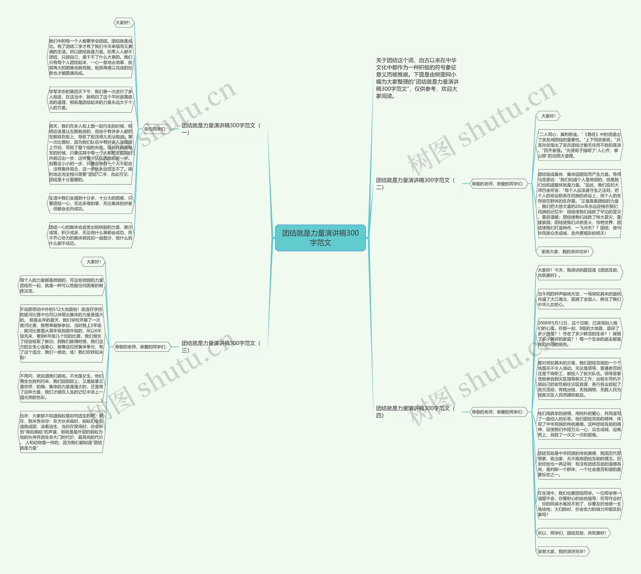 团结就是力量演讲稿300字范文思维导图
