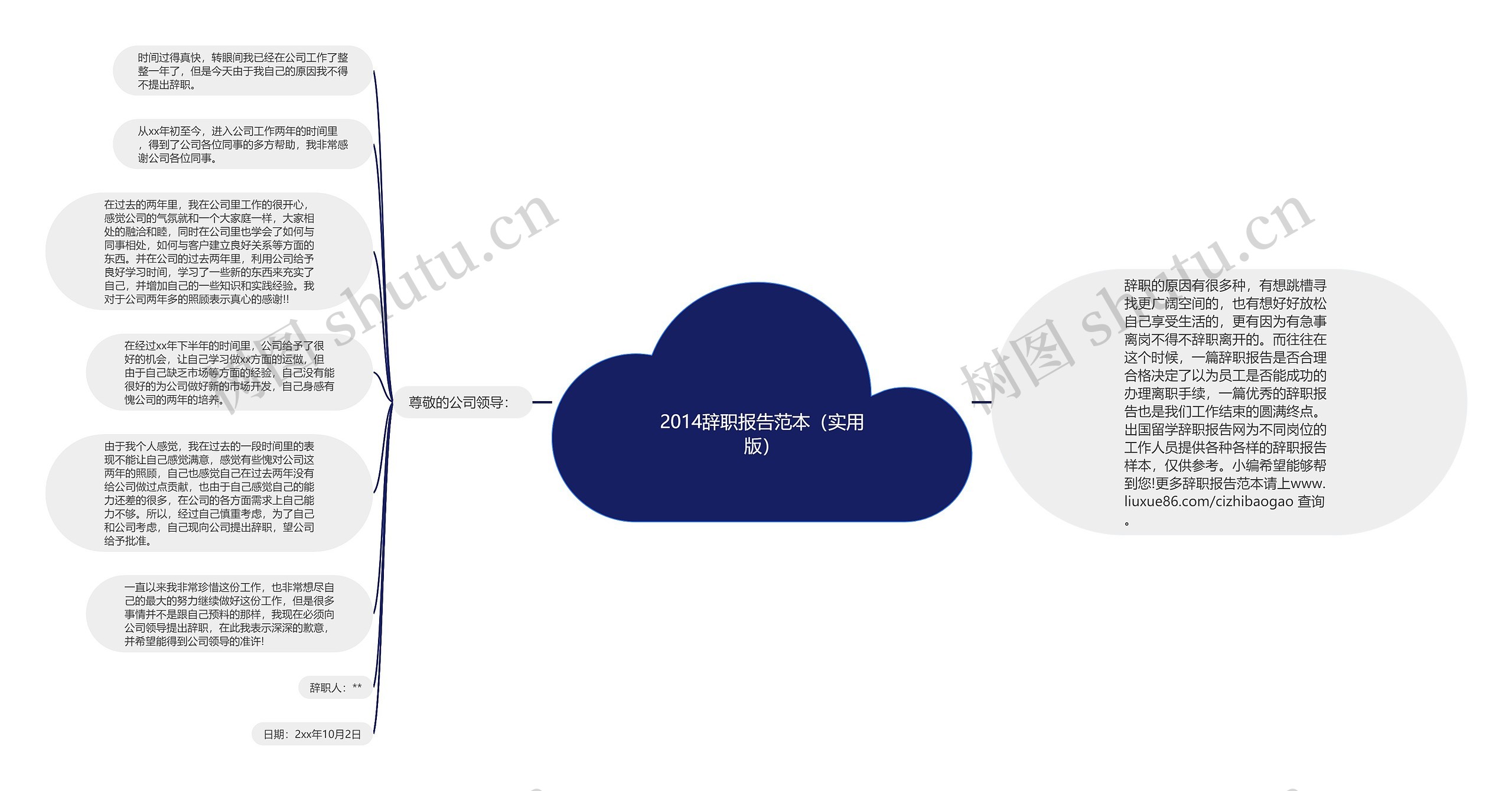 2014辞职报告范本（实用版）