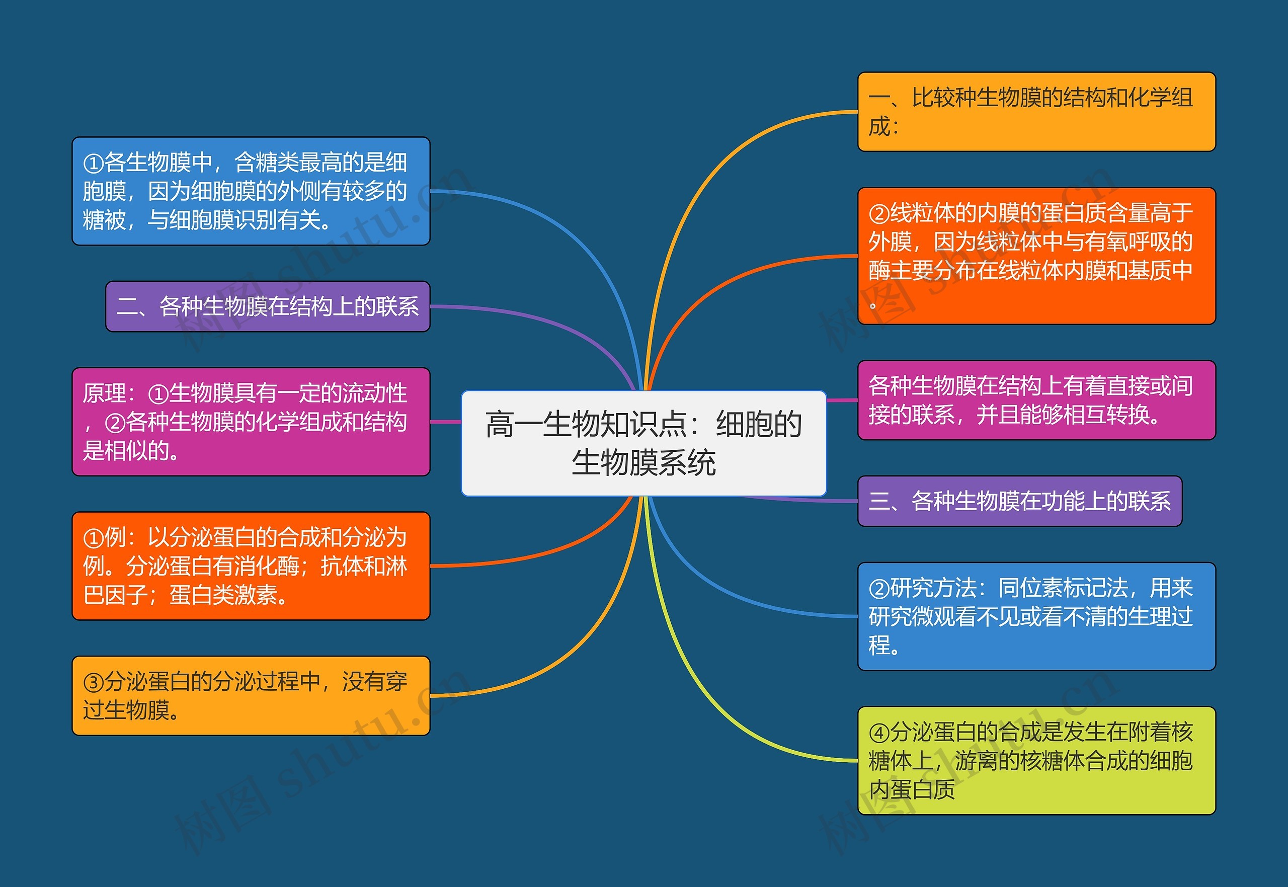 高一生物知识点：细胞的生物膜系统思维导图