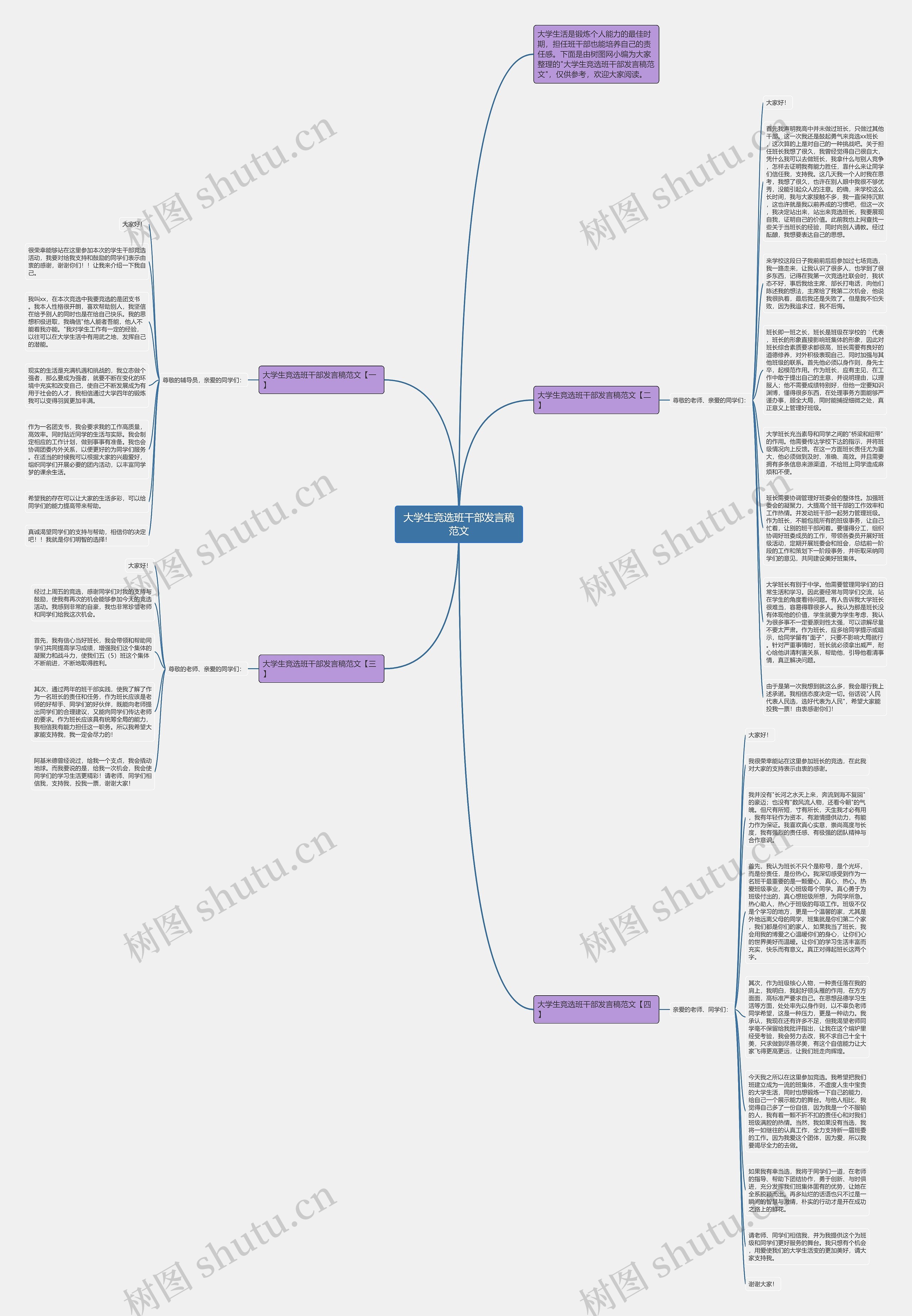 大学生竞选班干部发言稿范文思维导图