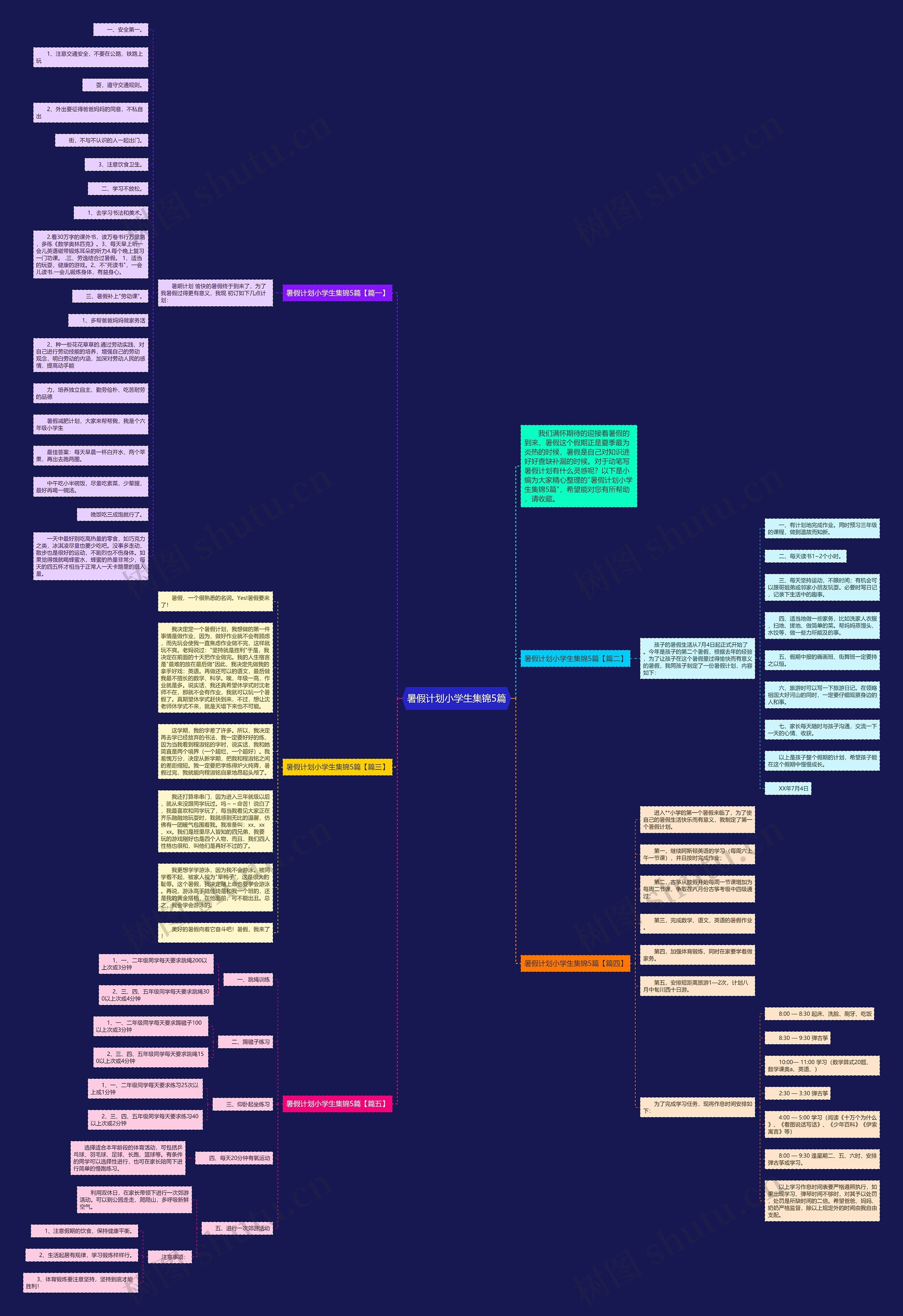 暑假计划小学生集锦5篇思维导图