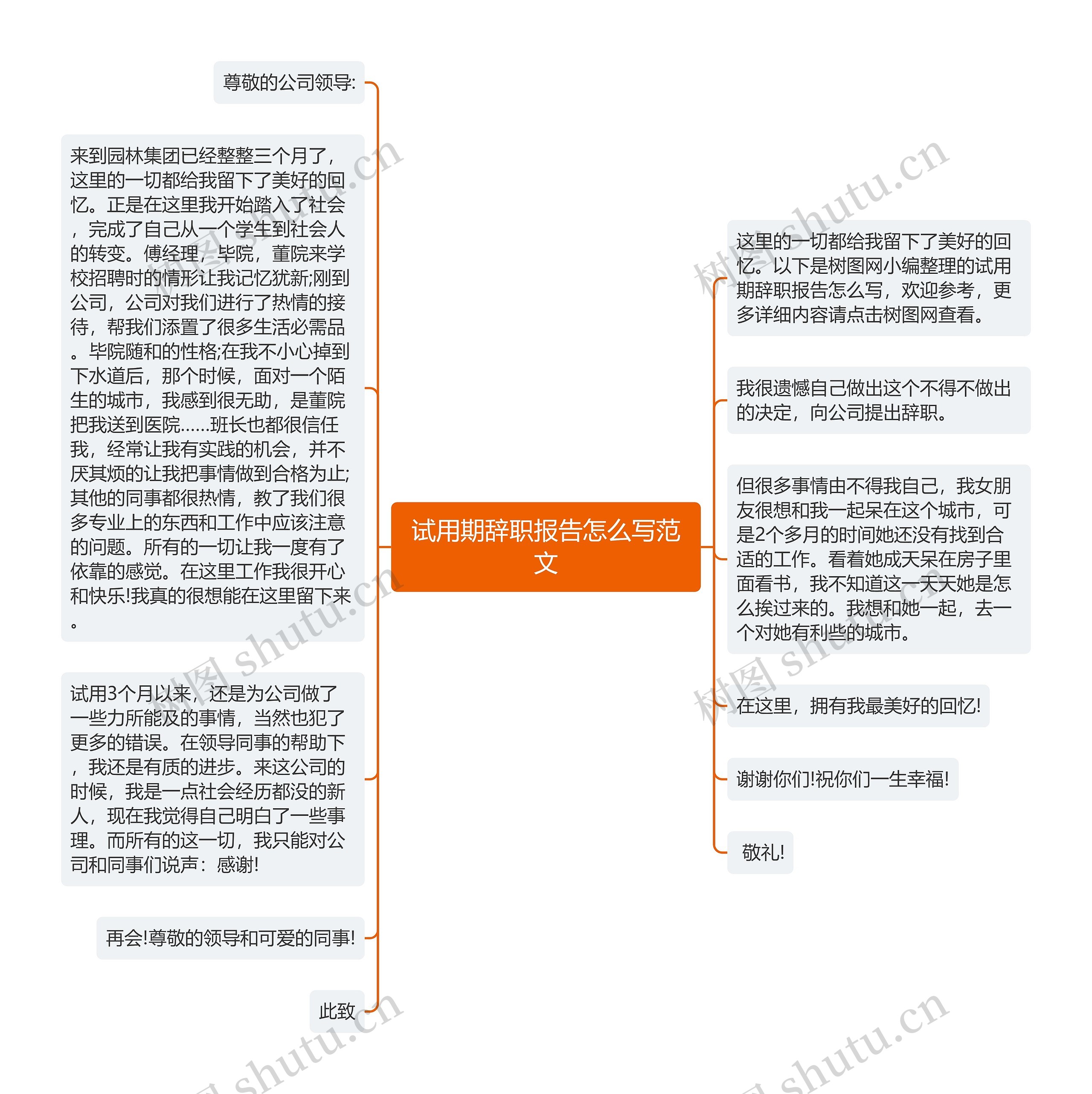 试用期辞职报告怎么写范文