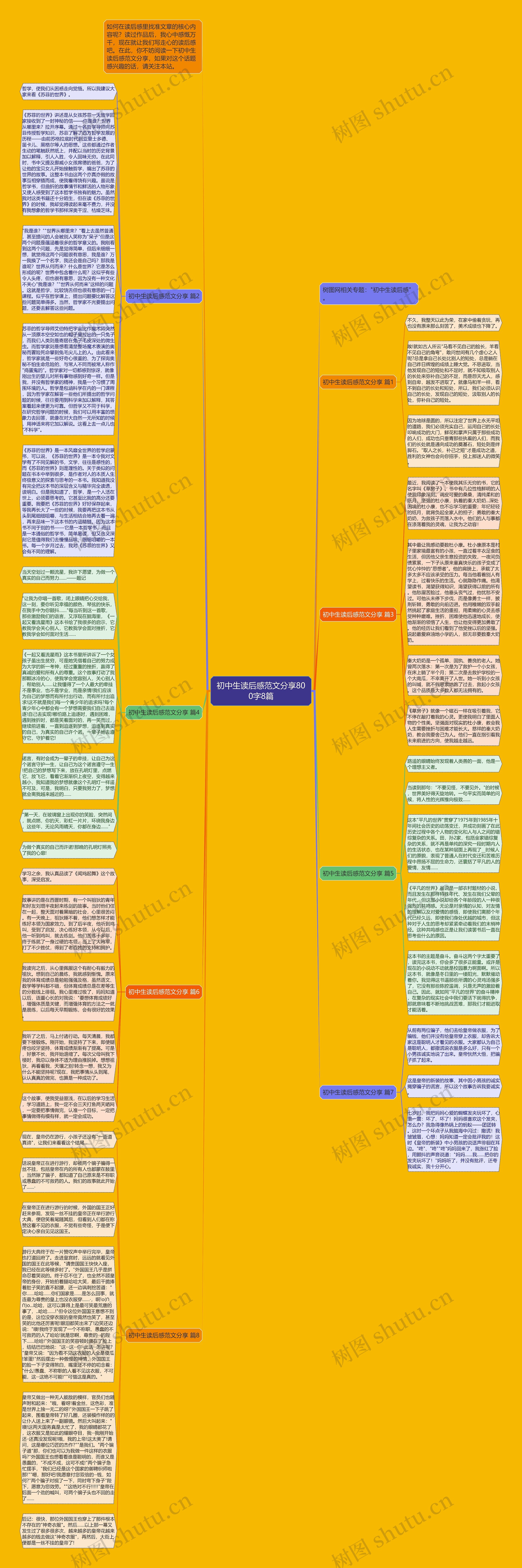 初中生读后感范文分享800字8篇思维导图