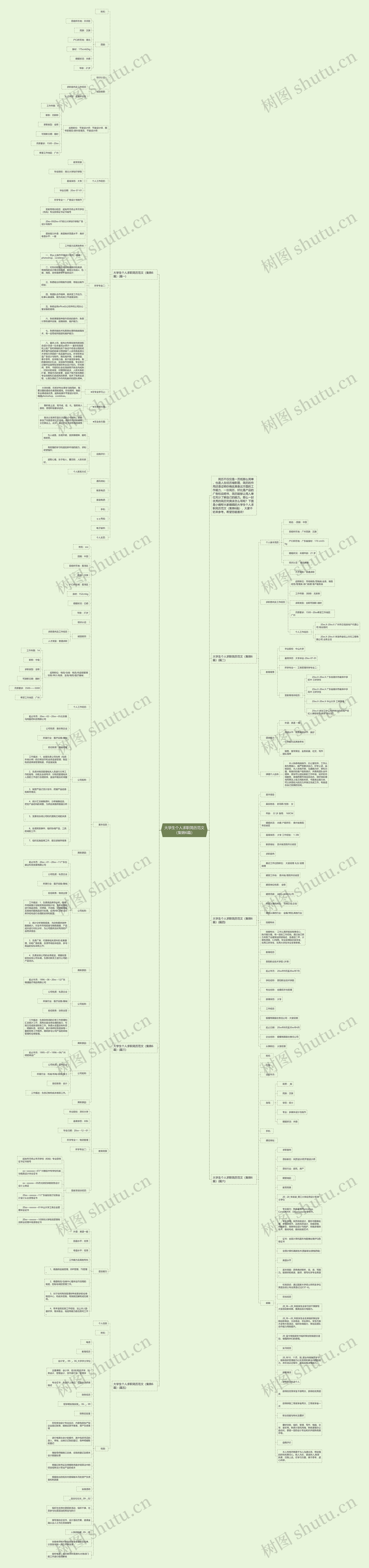 大学生个人求职简历范文（集锦6篇）思维导图