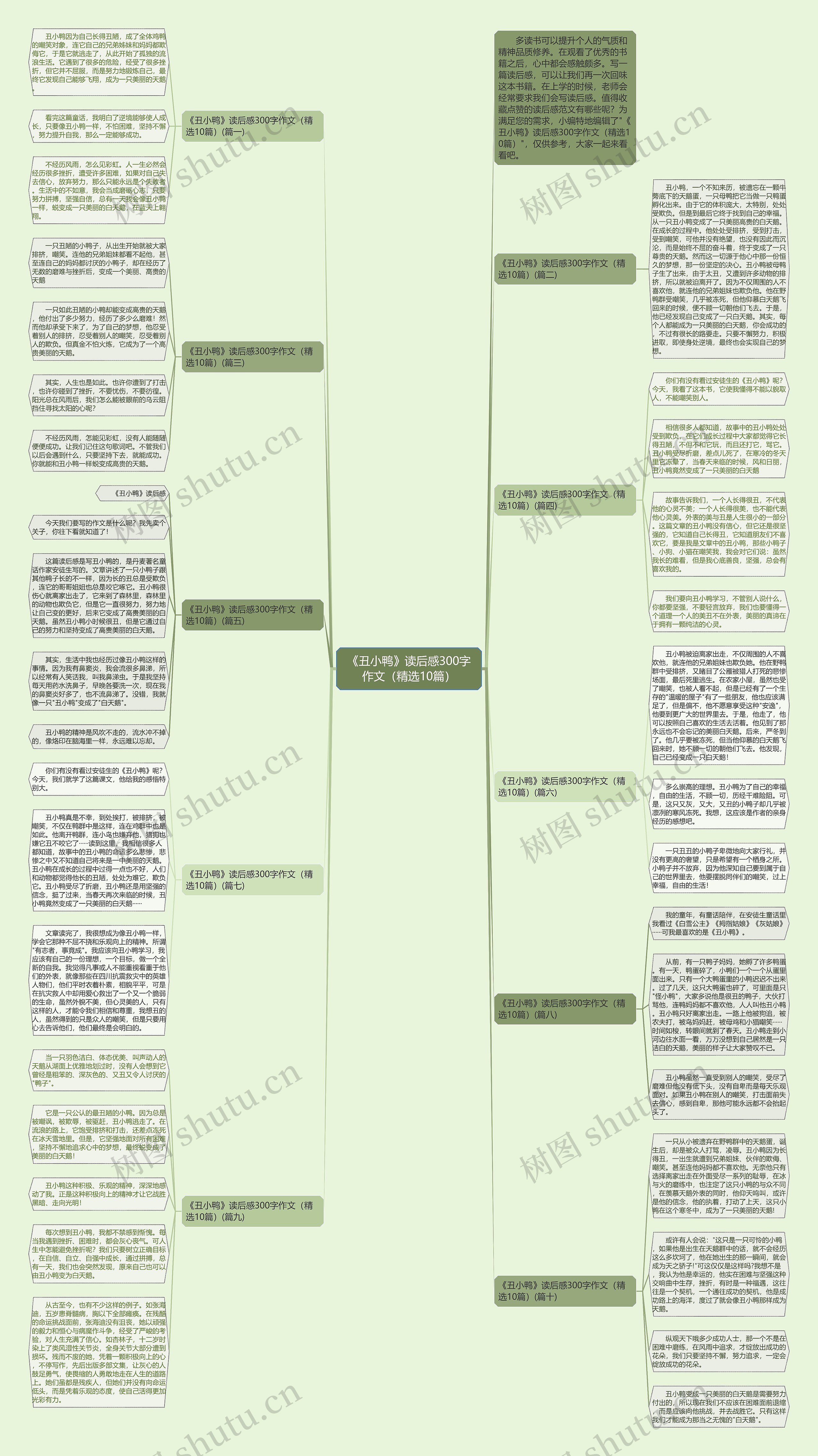 《丑小鸭》读后感300字作文（精选10篇）思维导图