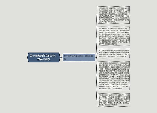 关于朋友的作文800字：对手与朋友