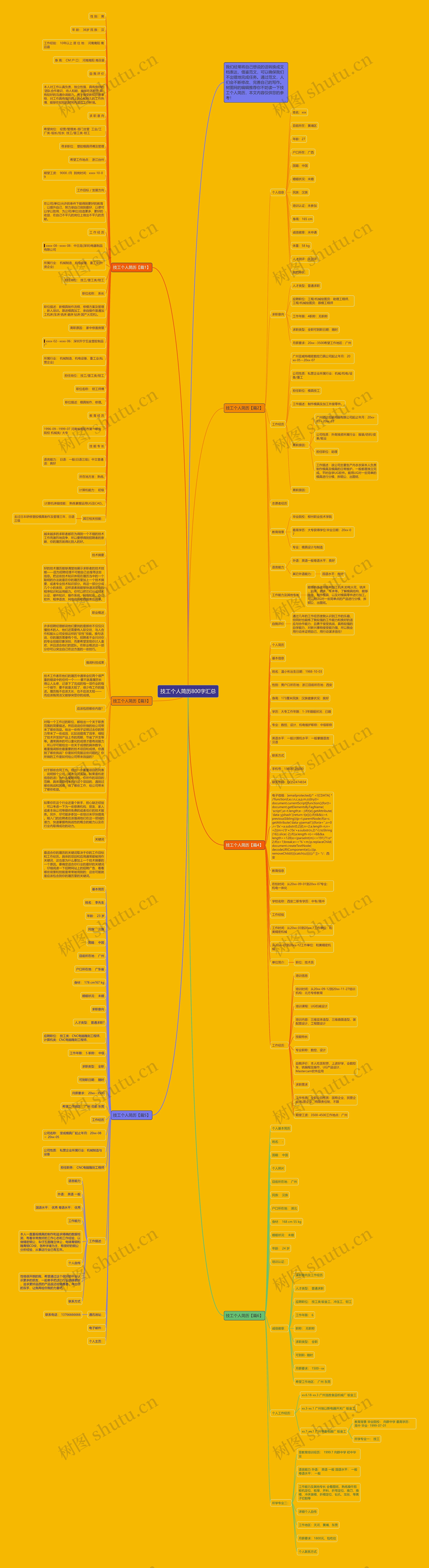 技工个人简历800字汇总思维导图