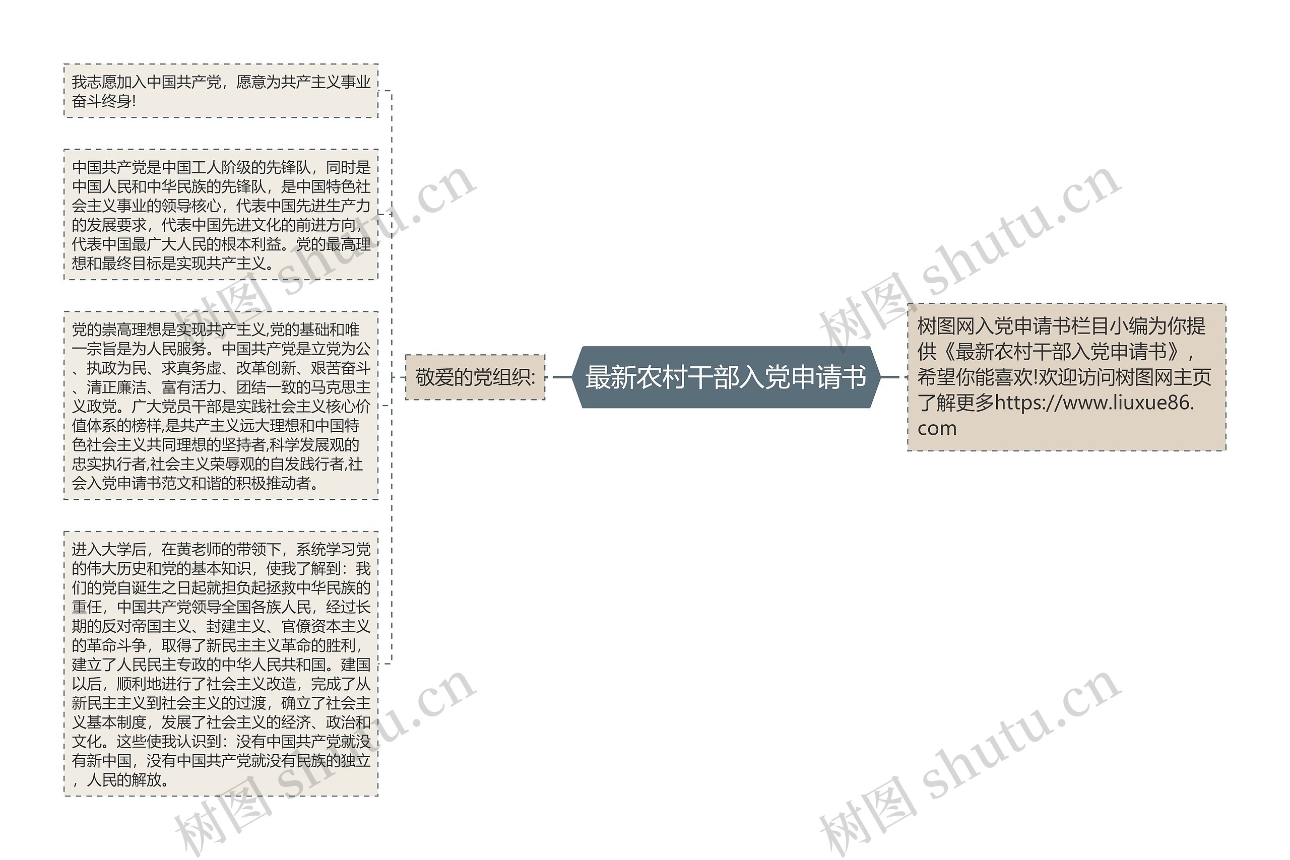 最新农村干部入党申请书思维导图