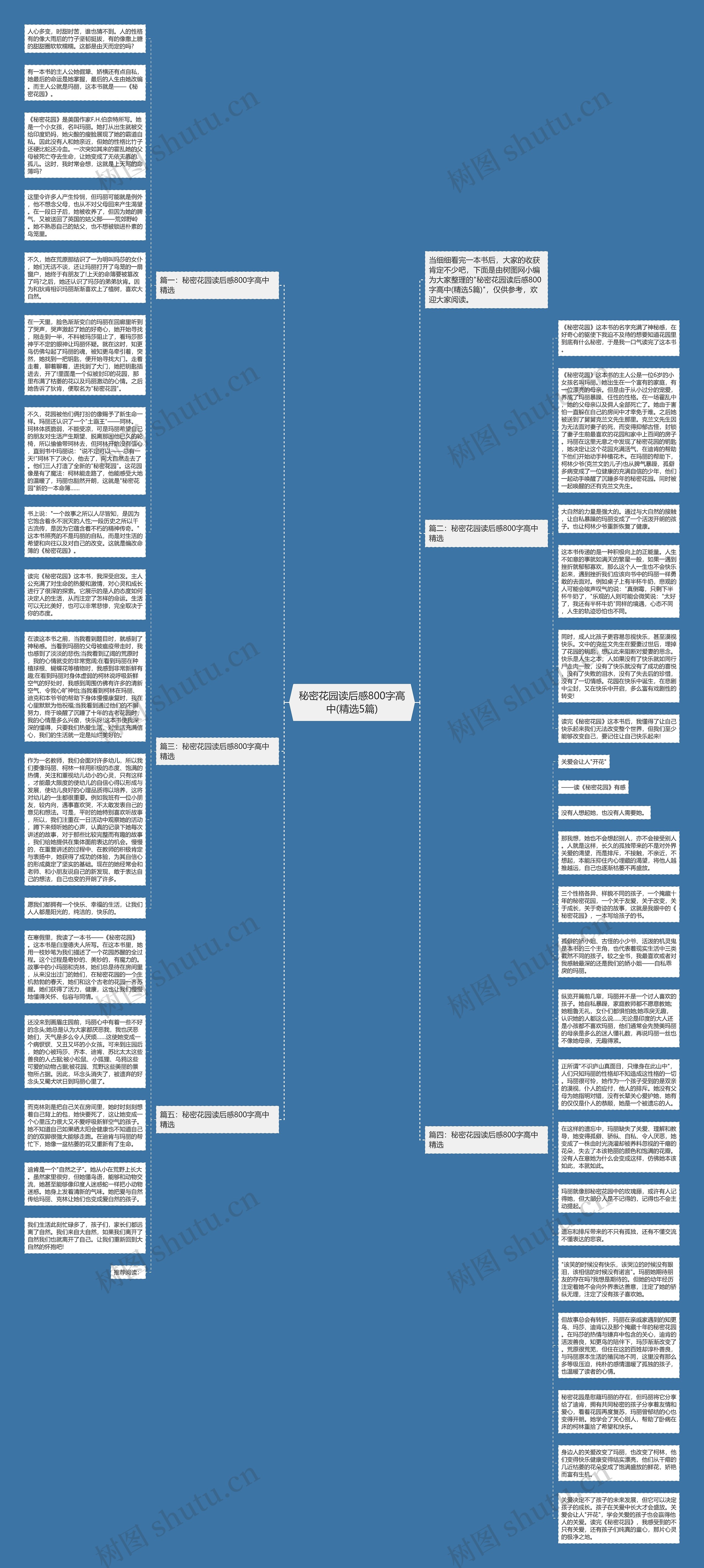 秘密花园读后感800字高中(精选5篇)思维导图