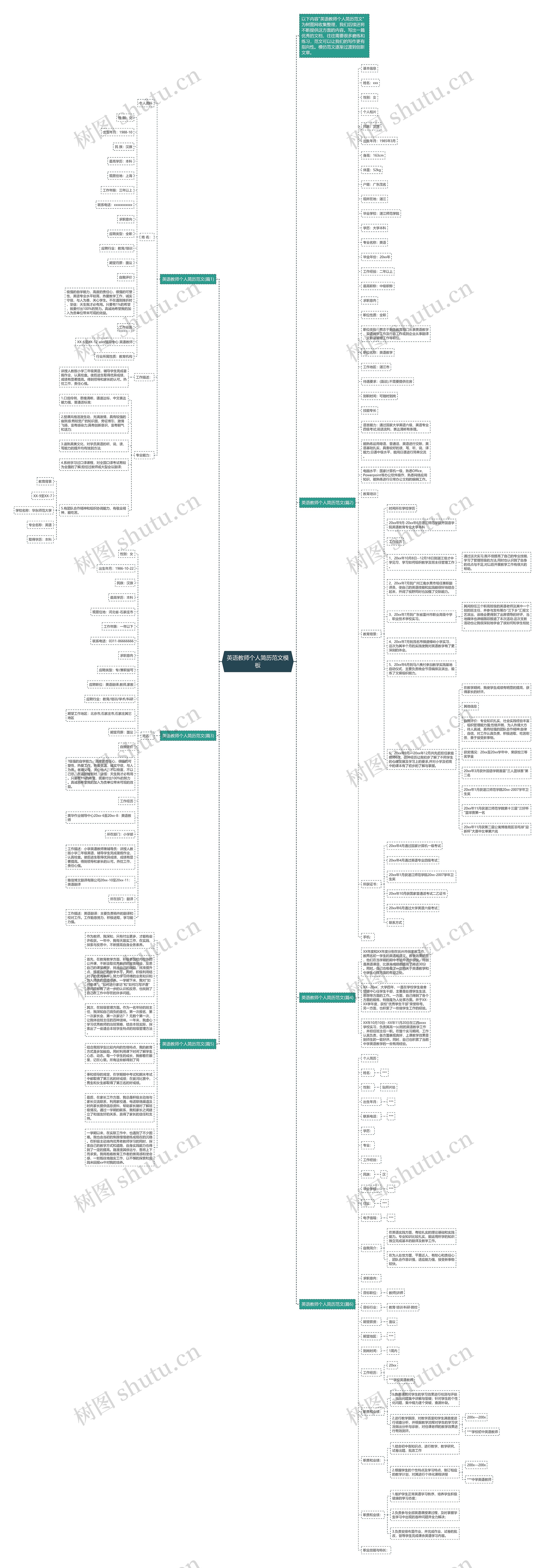 英语教师个人简历范文思维导图