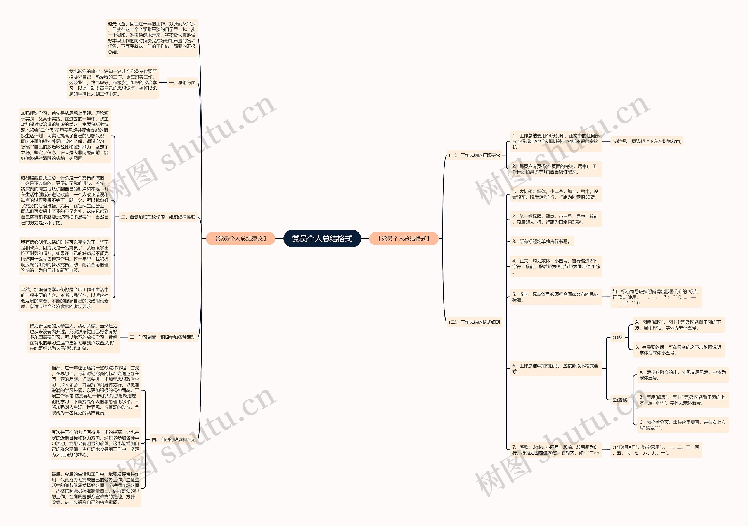 党员个人总结格式思维导图