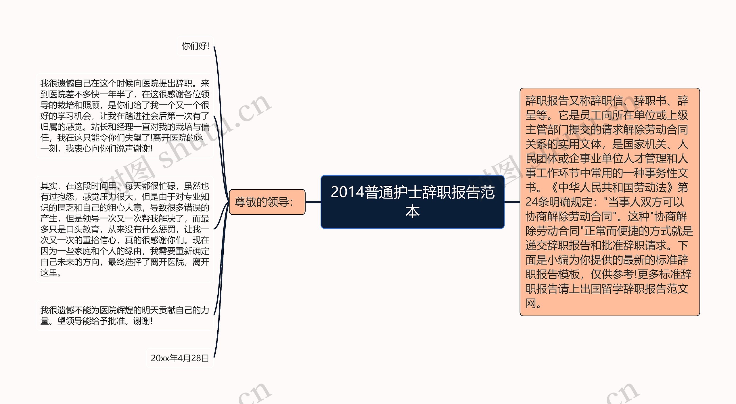 2014普通护士辞职报告范本思维导图