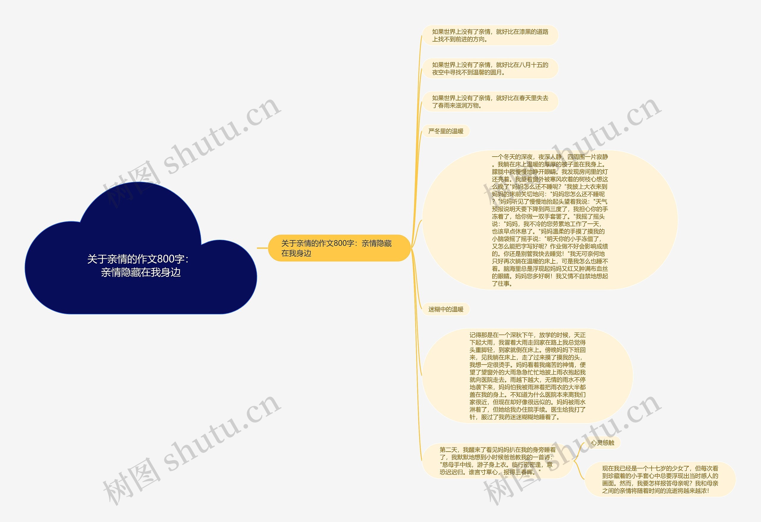 关于亲情的作文800字：亲情隐藏在我身边