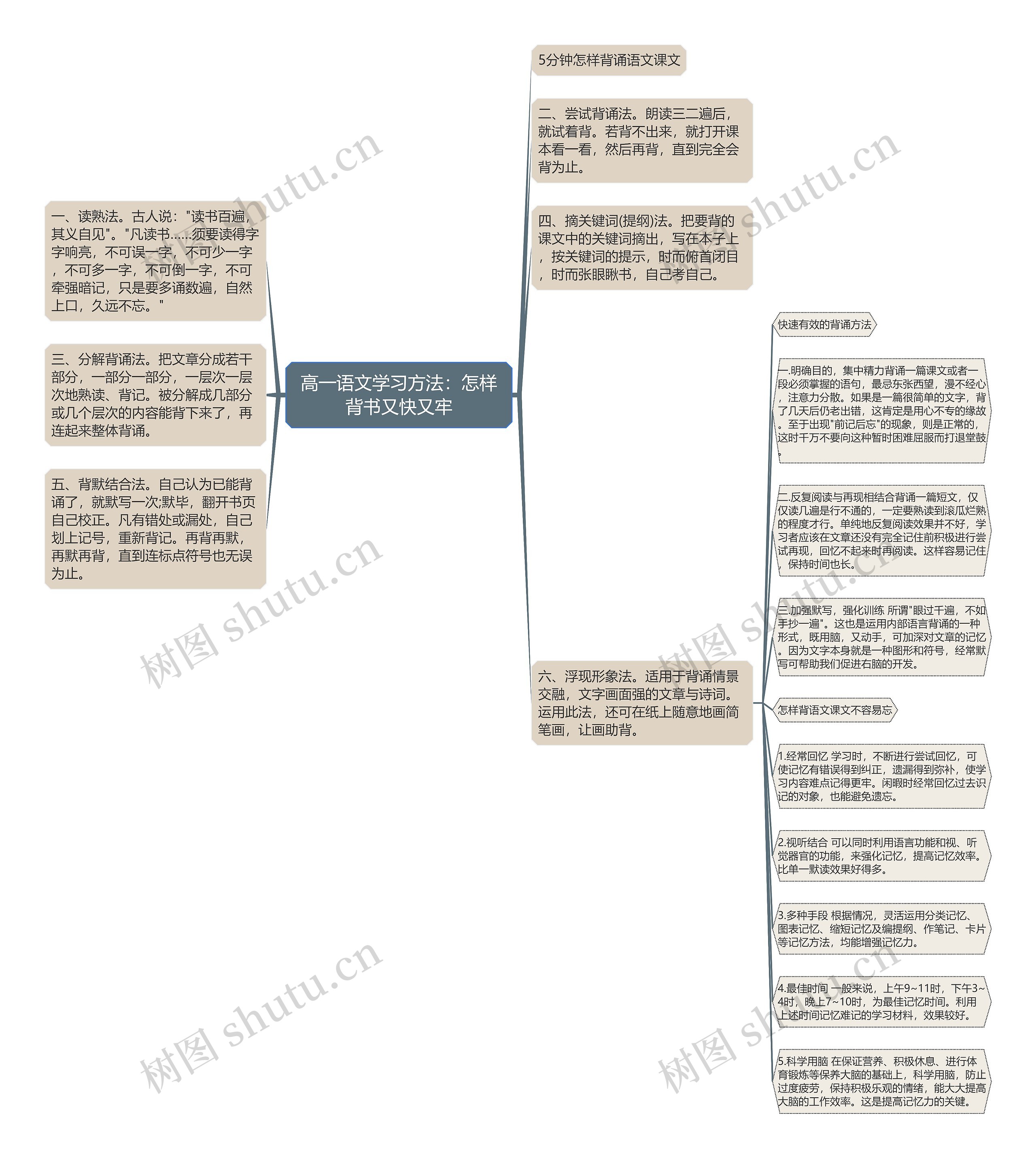 高一语文学习方法：怎样背书又快又牢