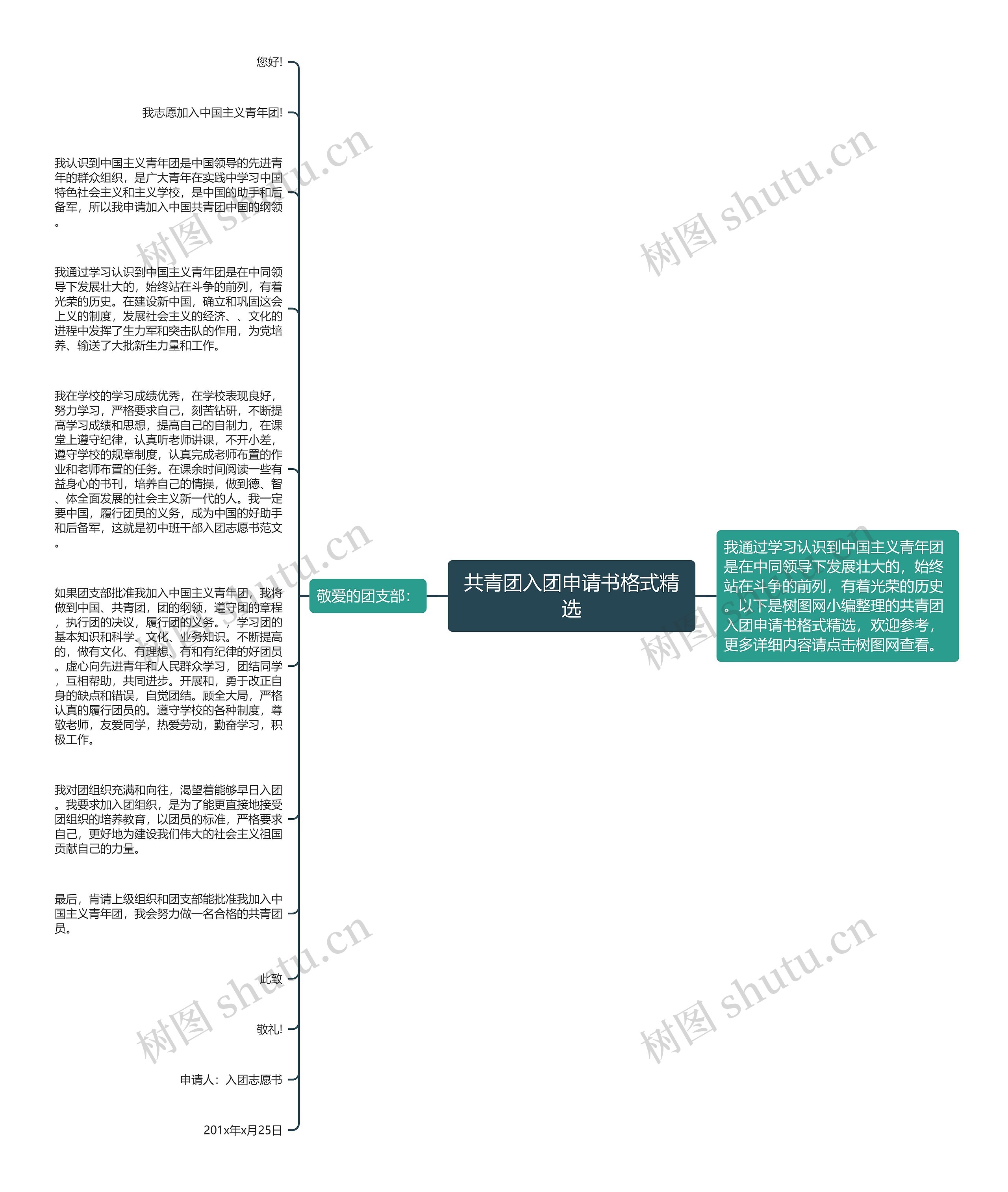 共青团入团申请书格式精选