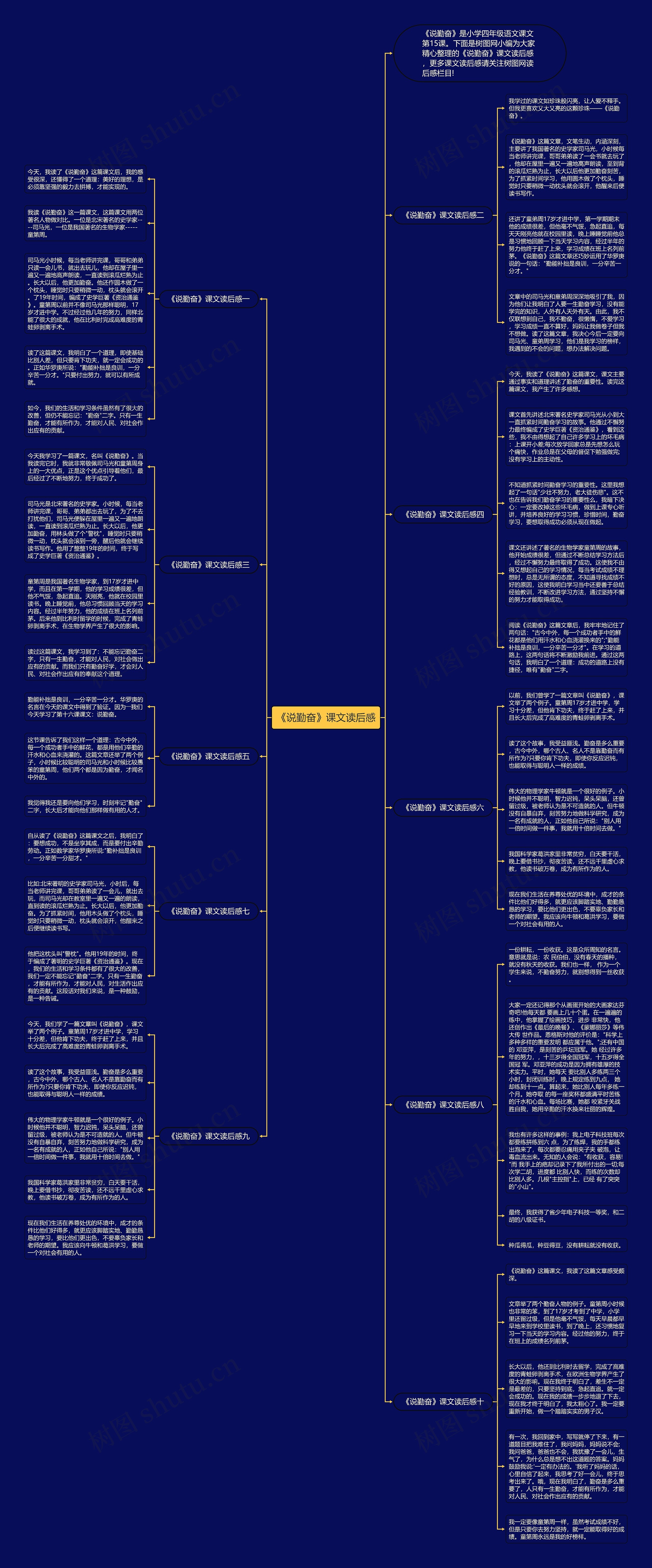 《说勤奋》课文读后感思维导图