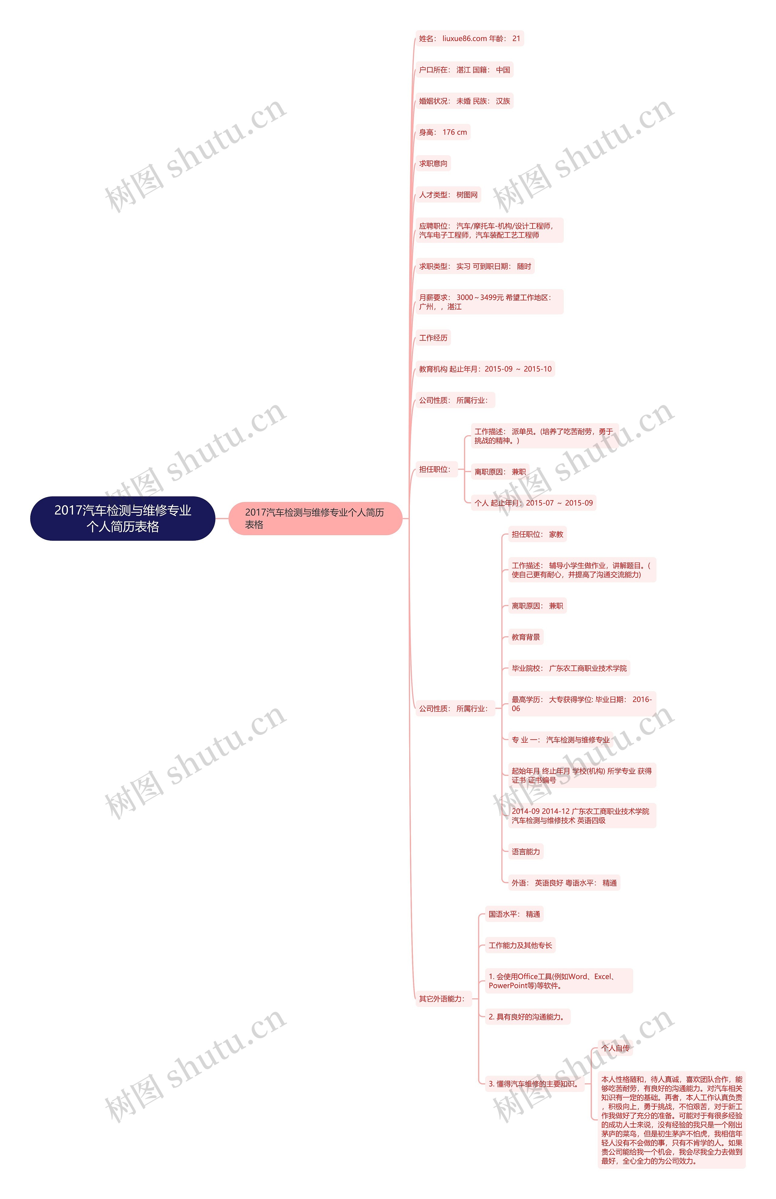 2017汽车检测与维修专业个人简历表格思维导图