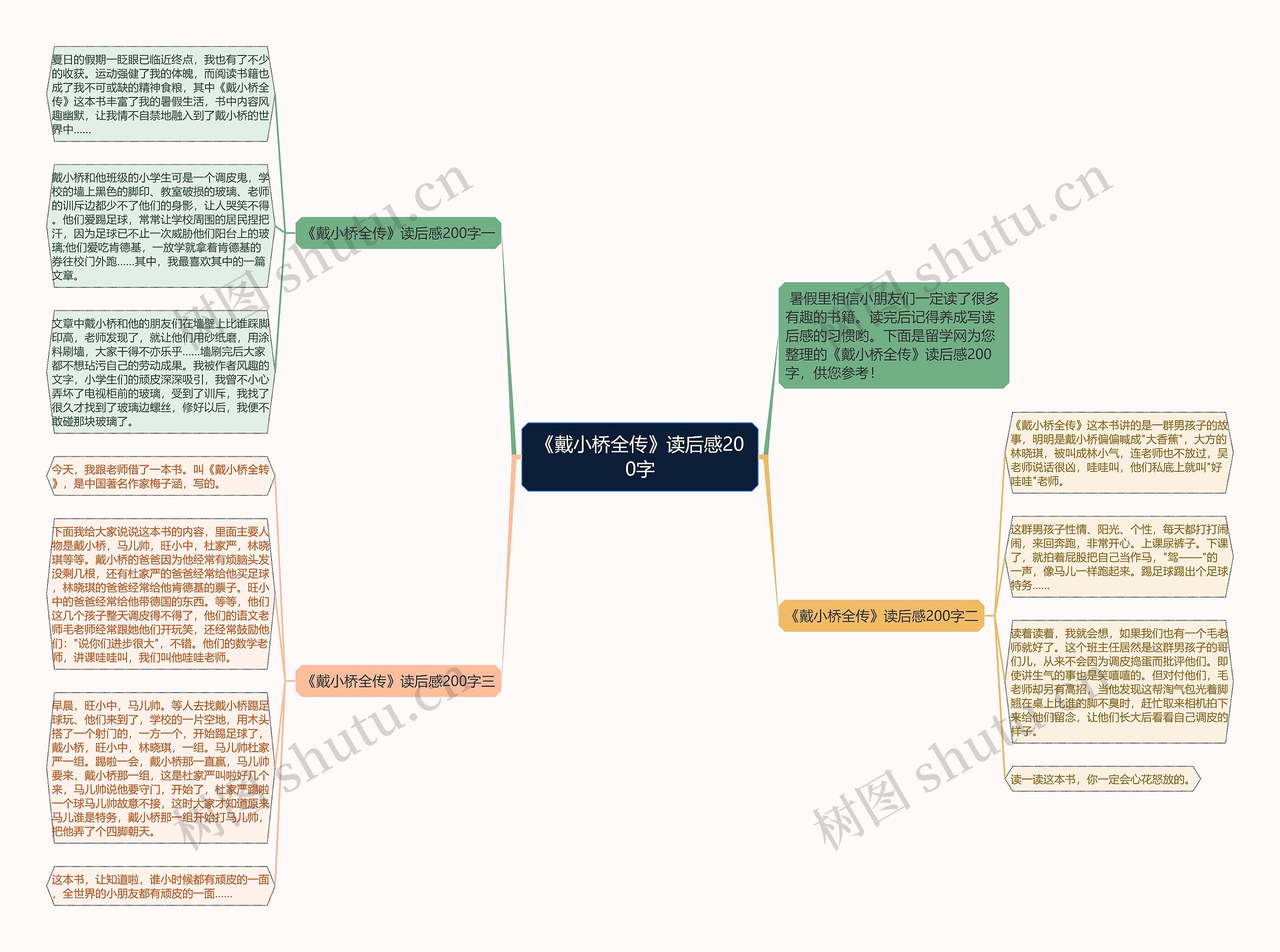 《戴小桥全传》读后感200字思维导图