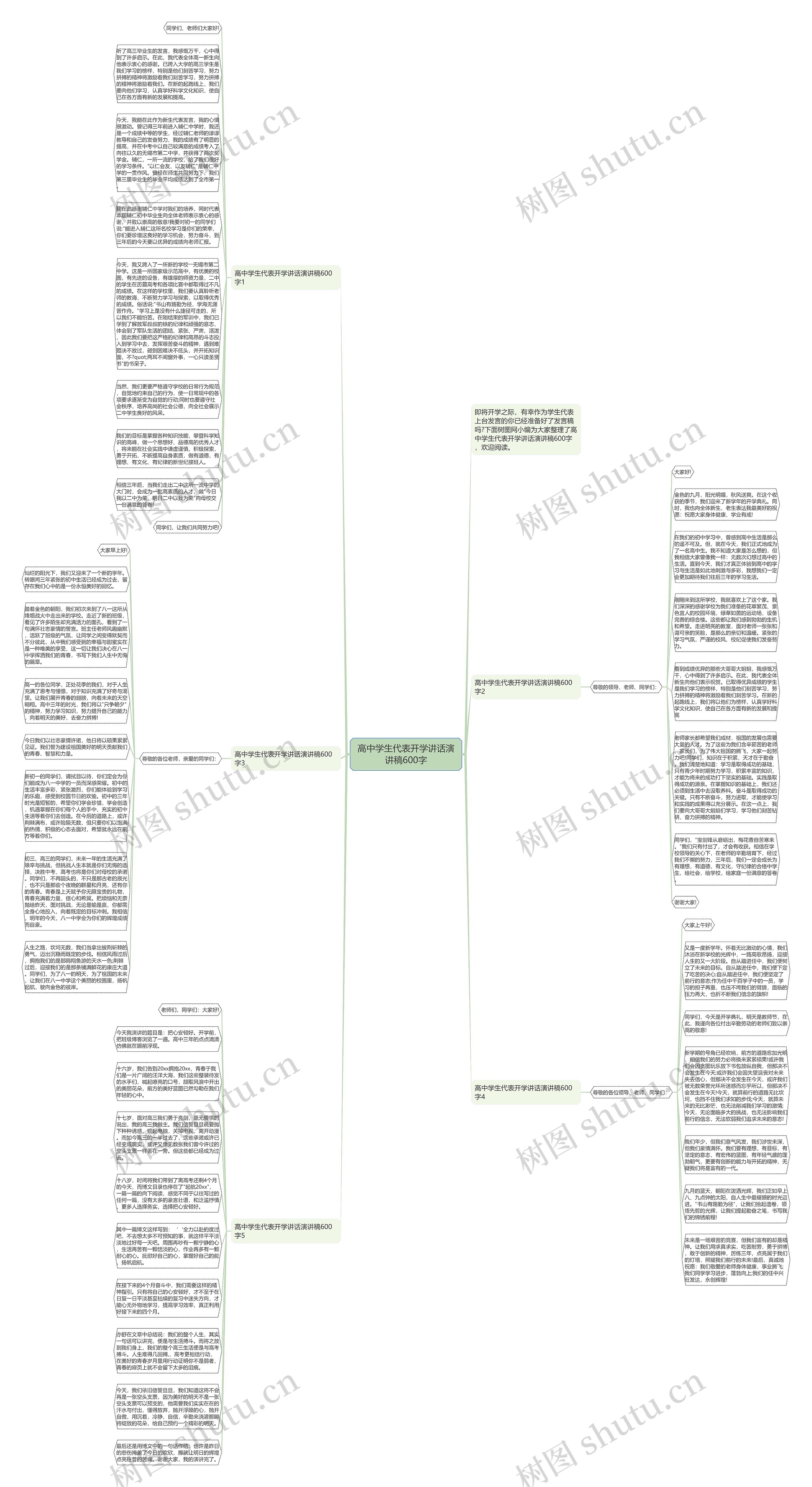 高中学生代表开学讲话演讲稿600字思维导图