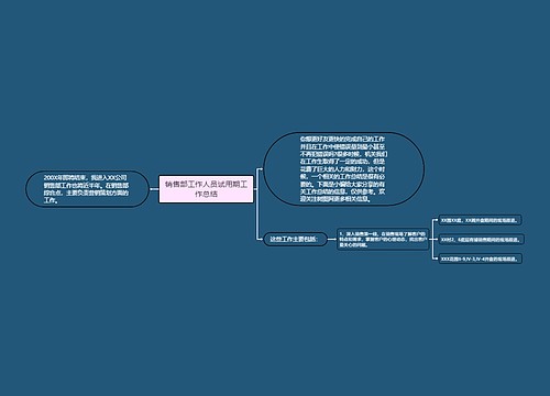 销售部工作人员试用期工作总结