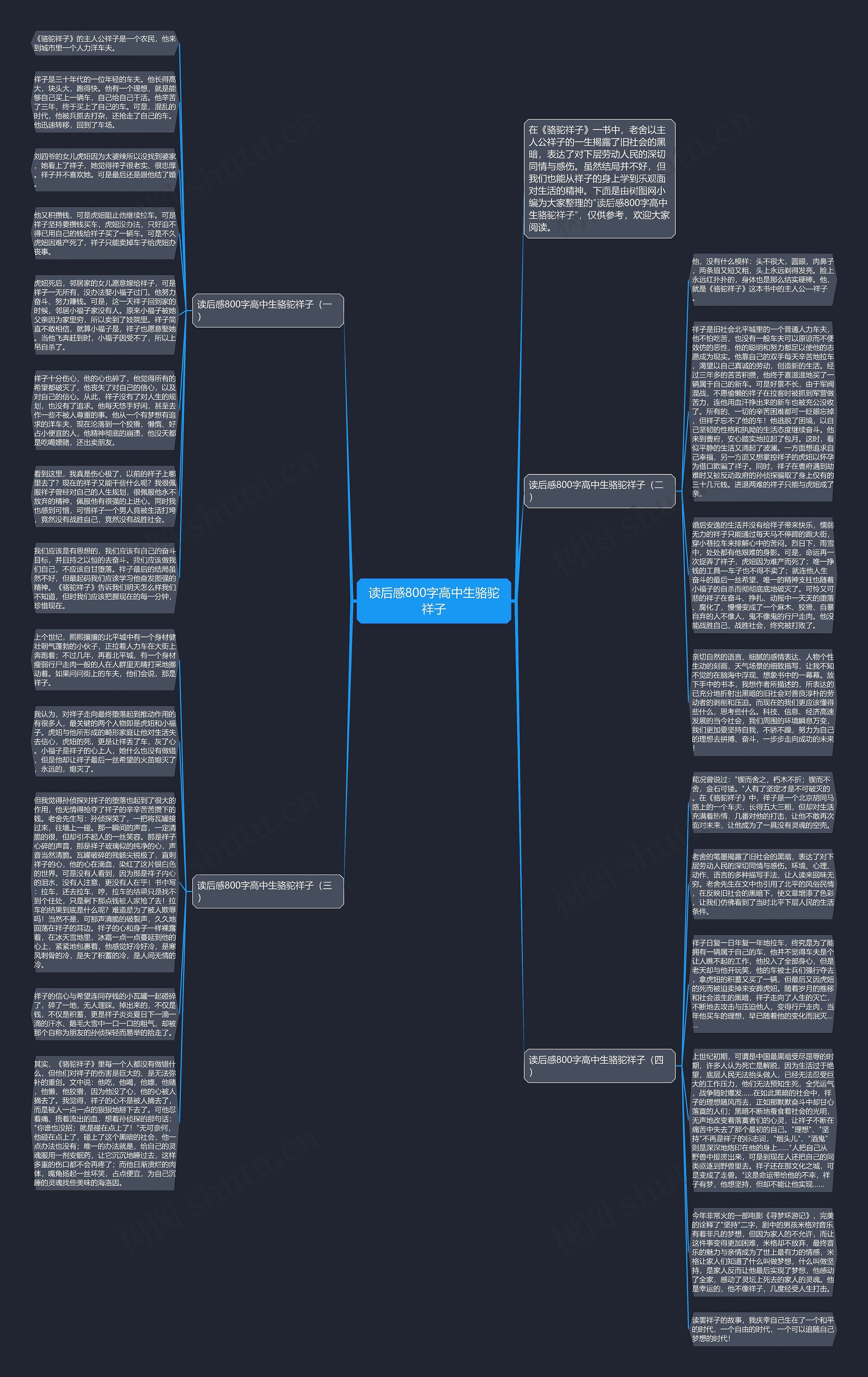 读后感800字高中生骆驼祥子思维导图