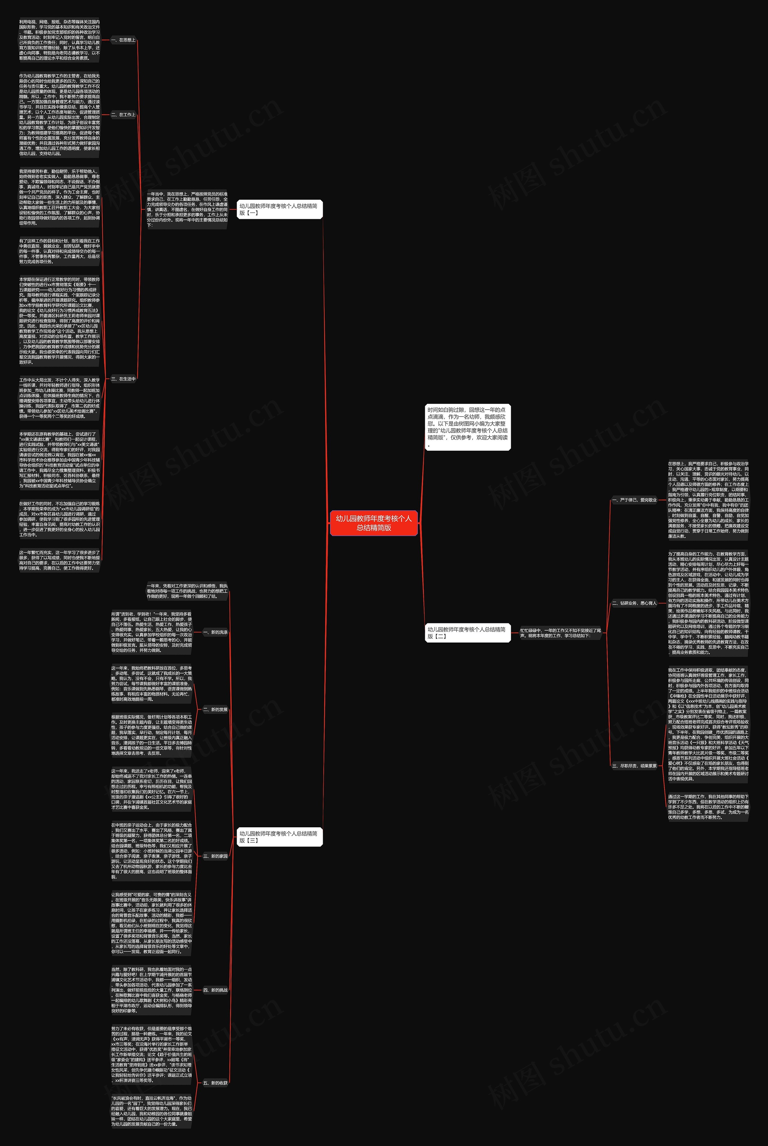 幼儿园教师年度考核个人总结精简版思维导图