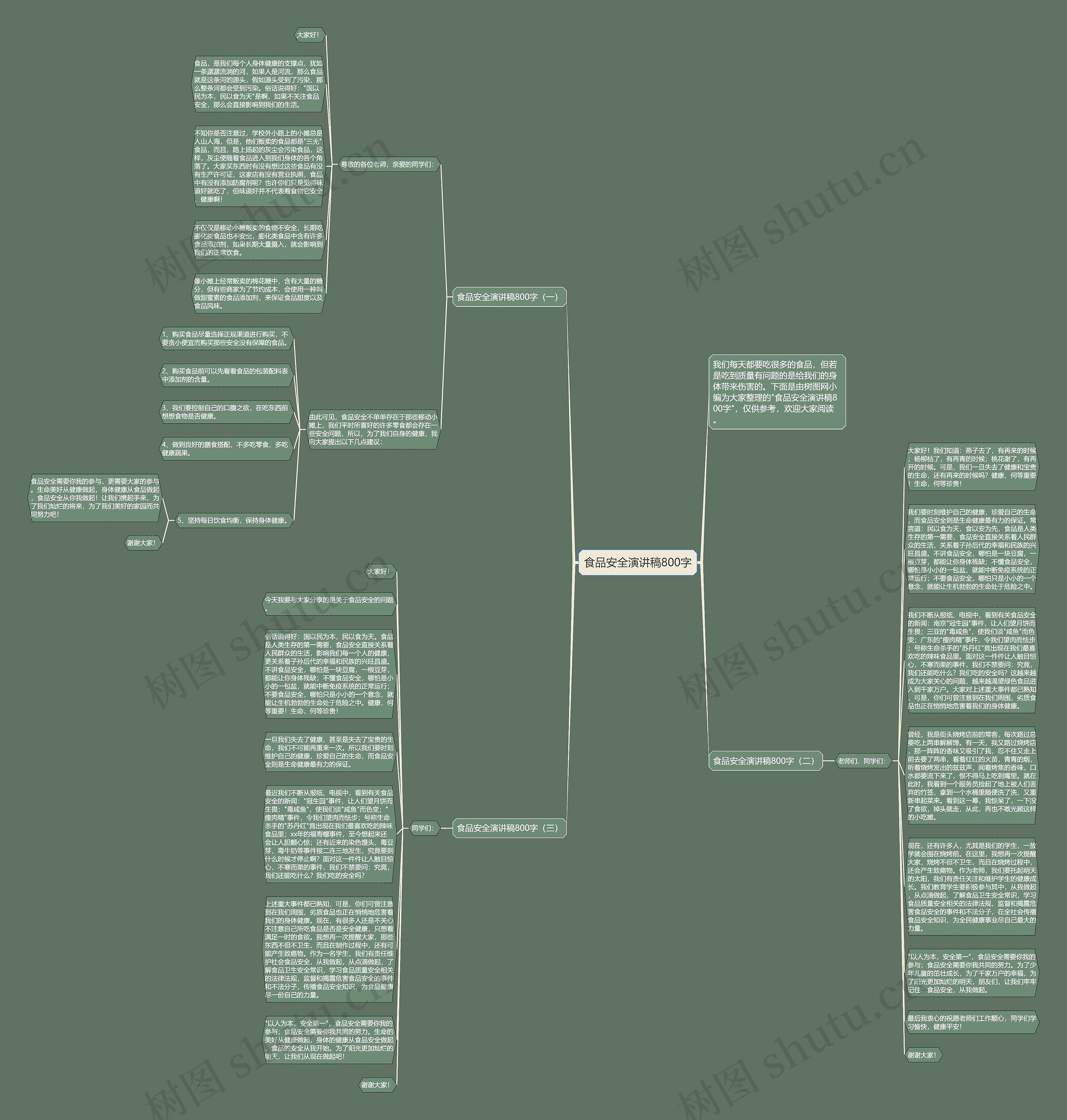 食品安全演讲稿800字思维导图
