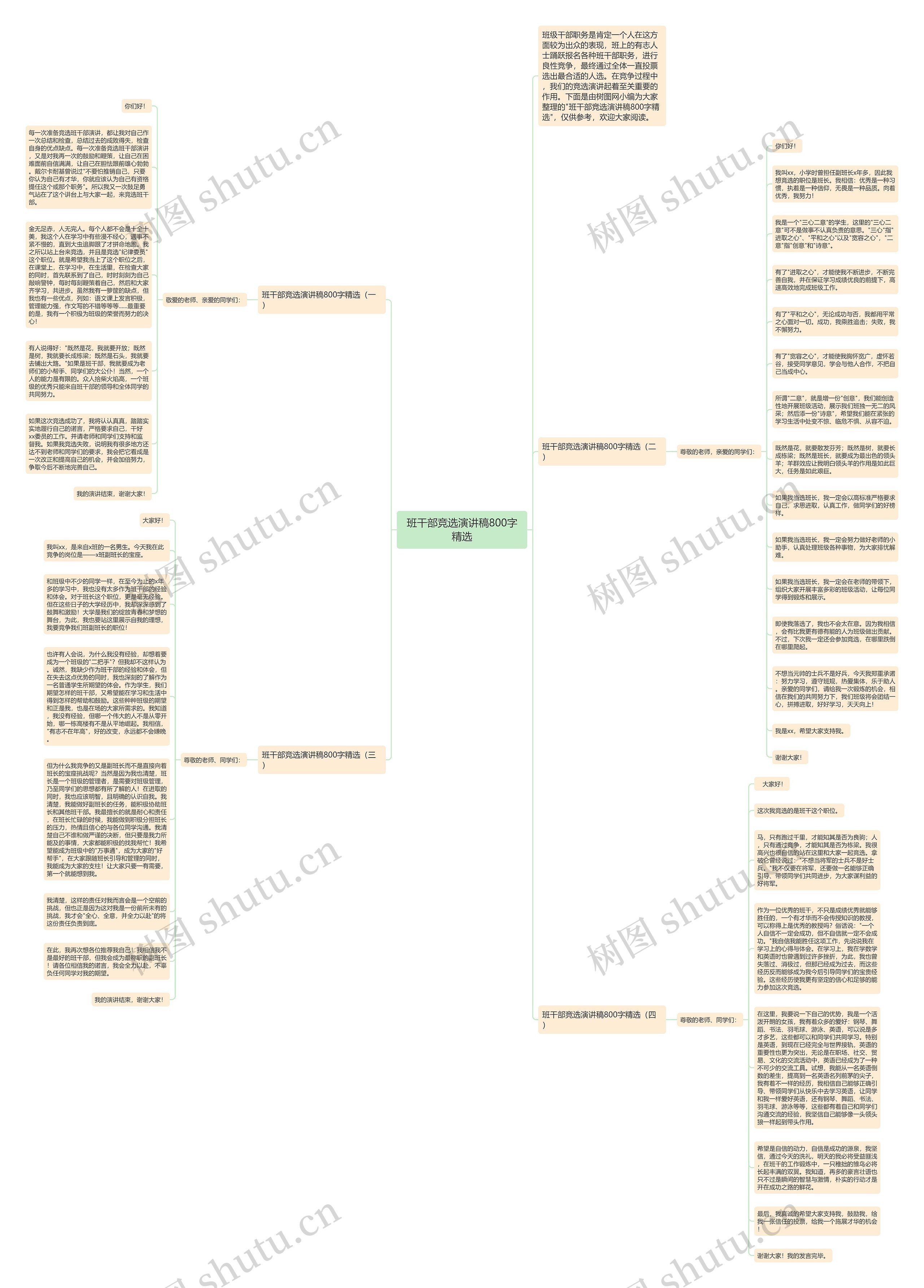 班干部竞选演讲稿800字精选思维导图