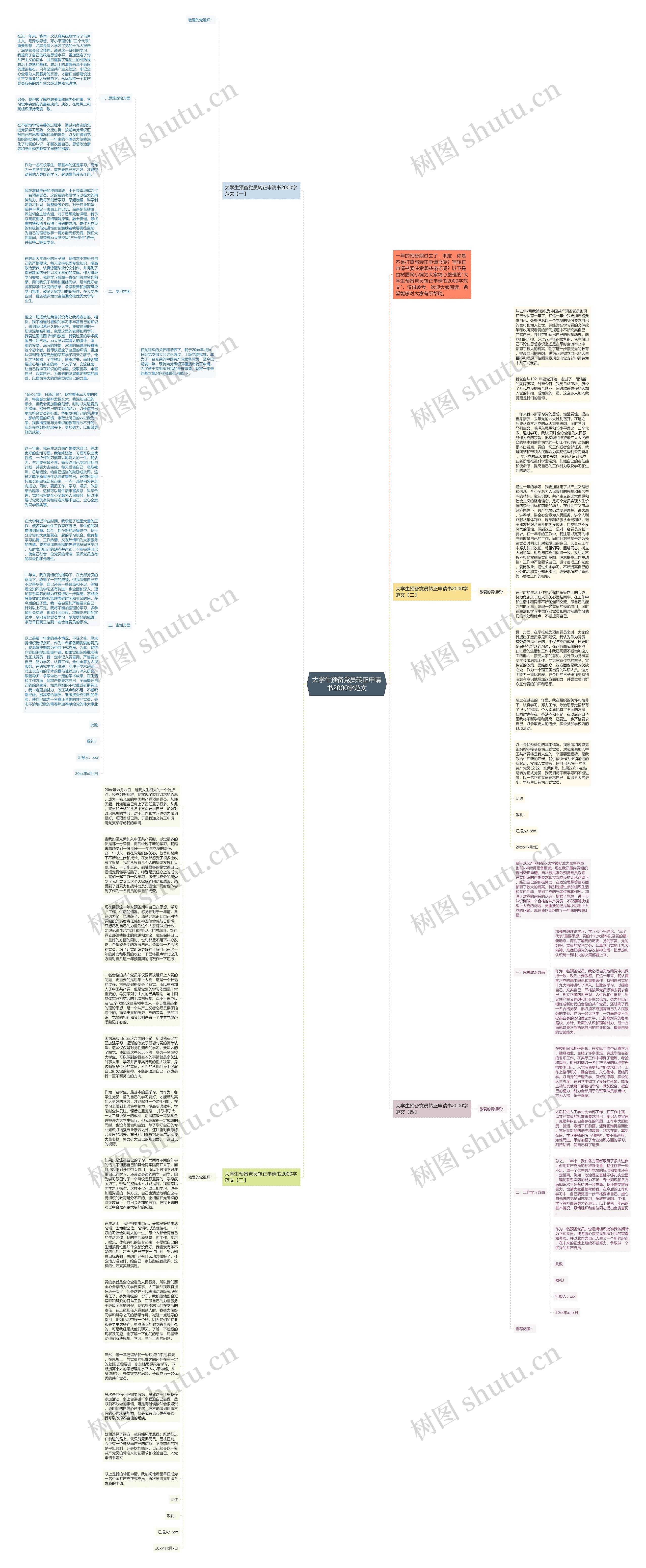 大学生预备党员转正申请书2000字范文思维导图