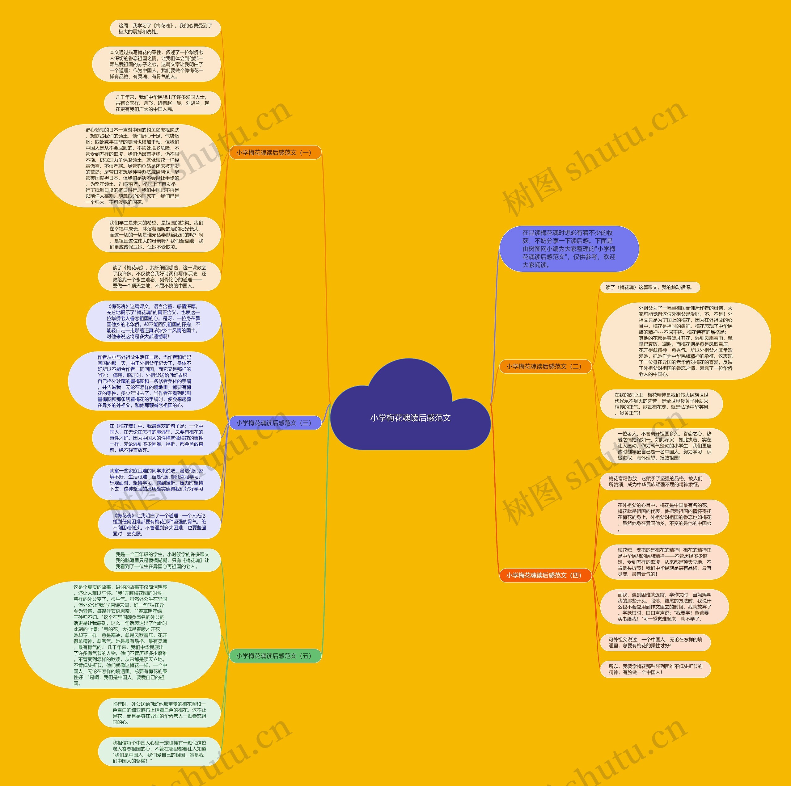 小学梅花魂读后感范文思维导图