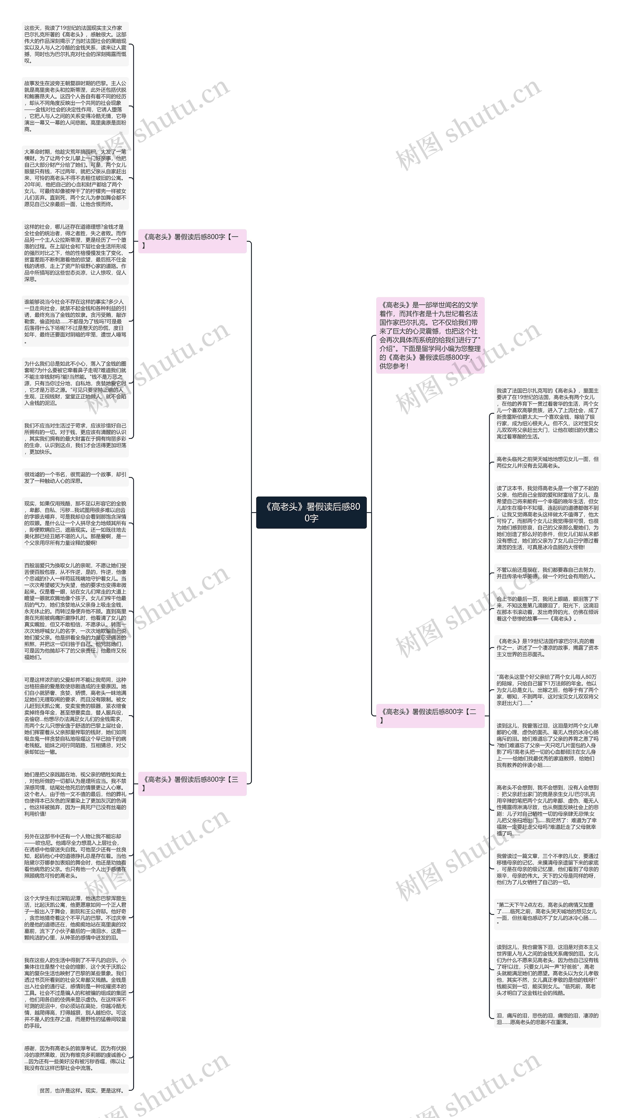《高老头》暑假读后感800字思维导图