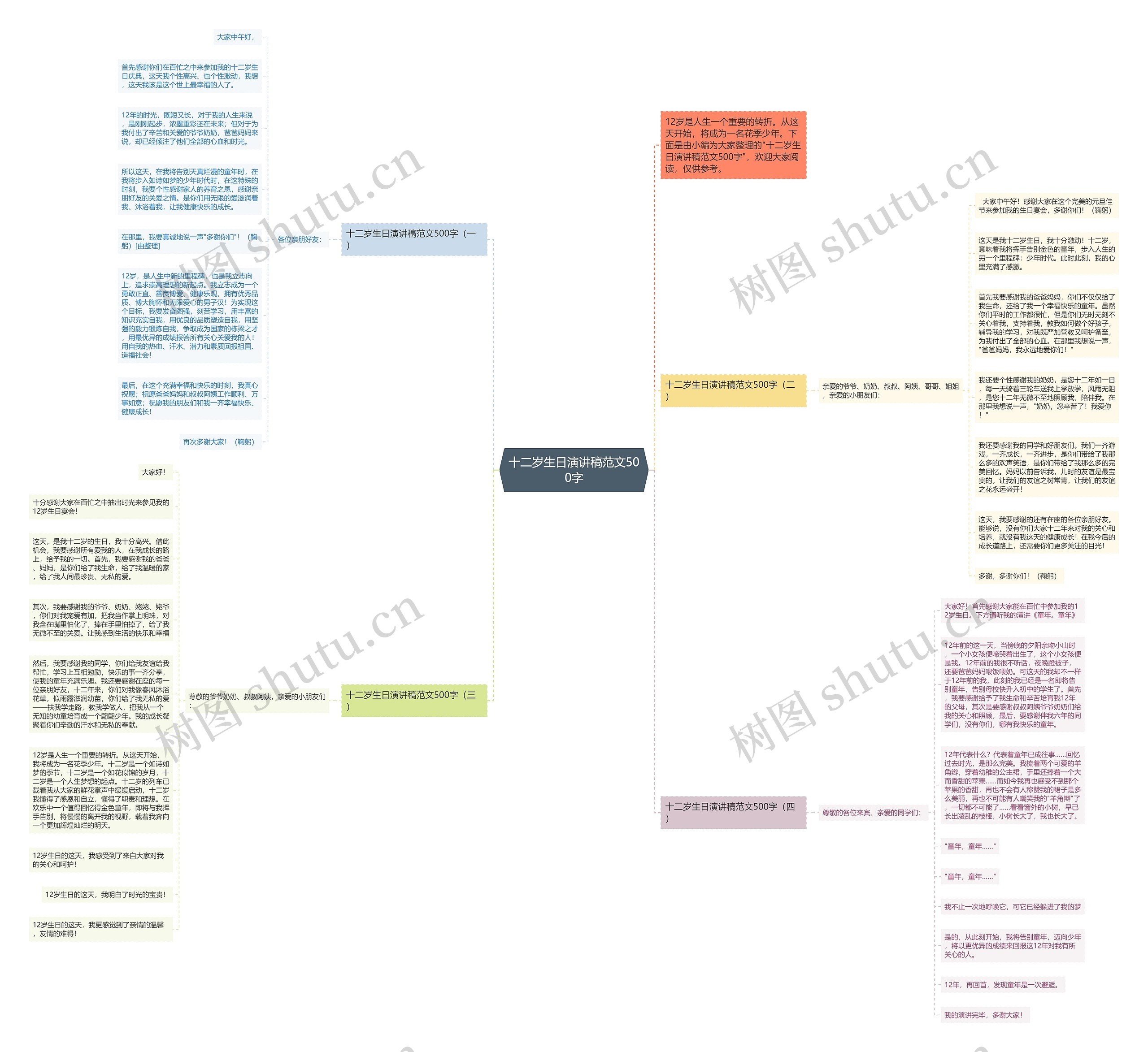 十二岁生日演讲稿范文500字思维导图