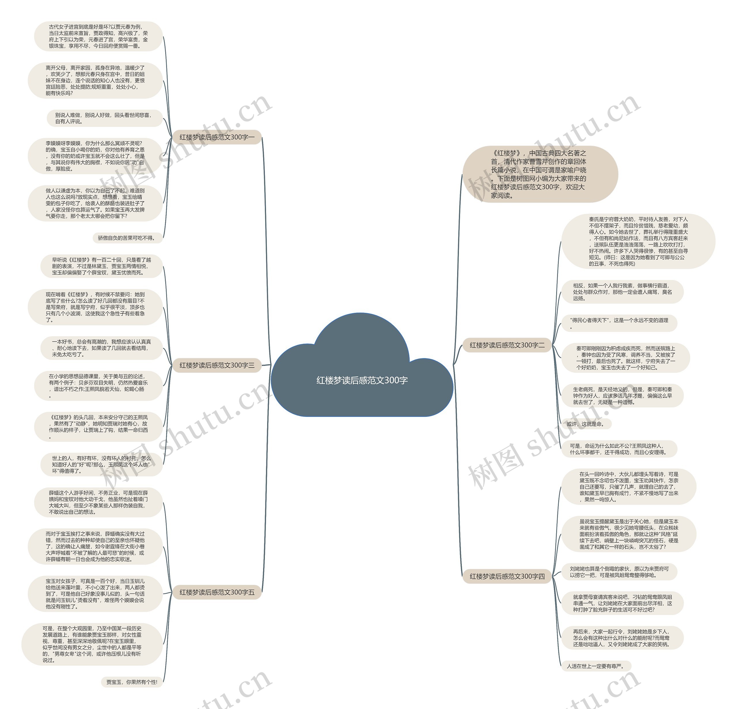 红楼梦读后感范文300字思维导图