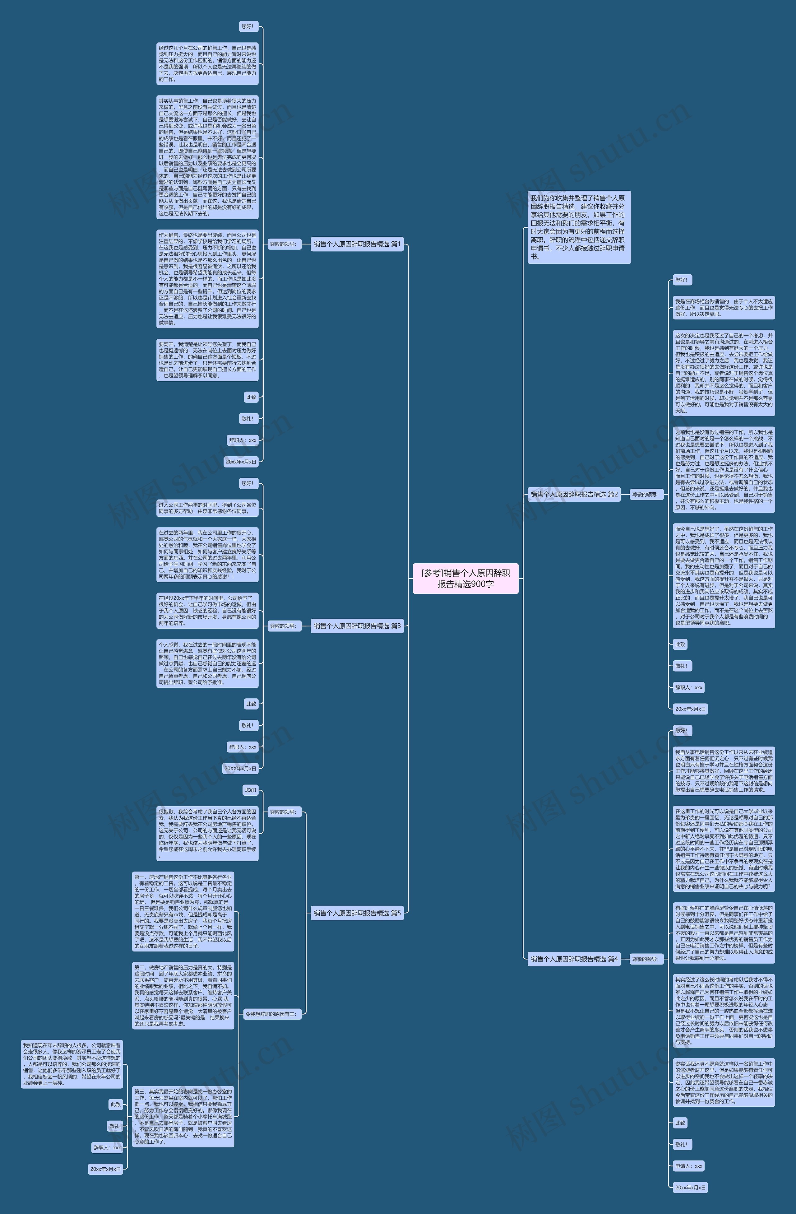 [参考]销售个人原因辞职报告精选900字思维导图