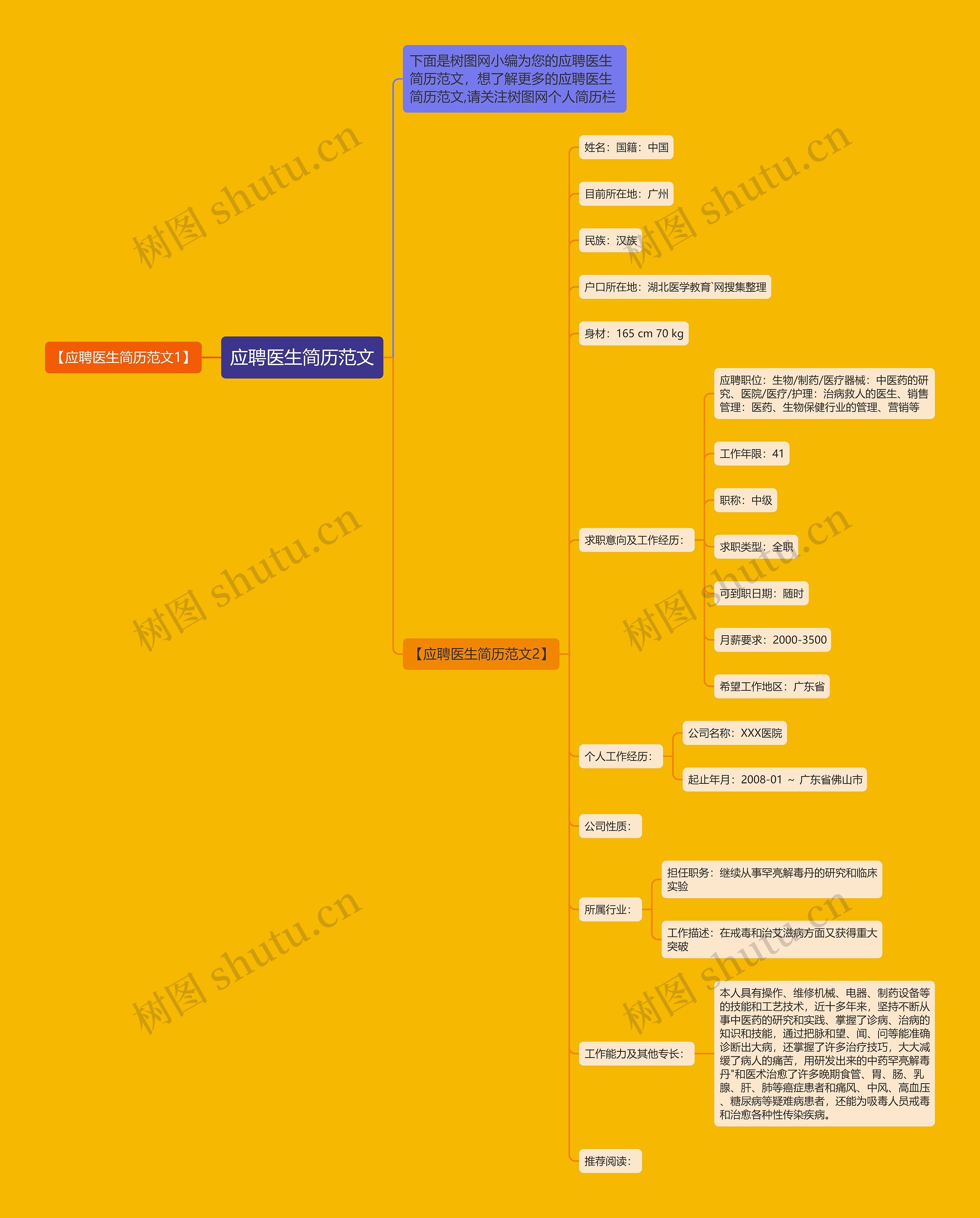 应聘医生简历范文思维导图