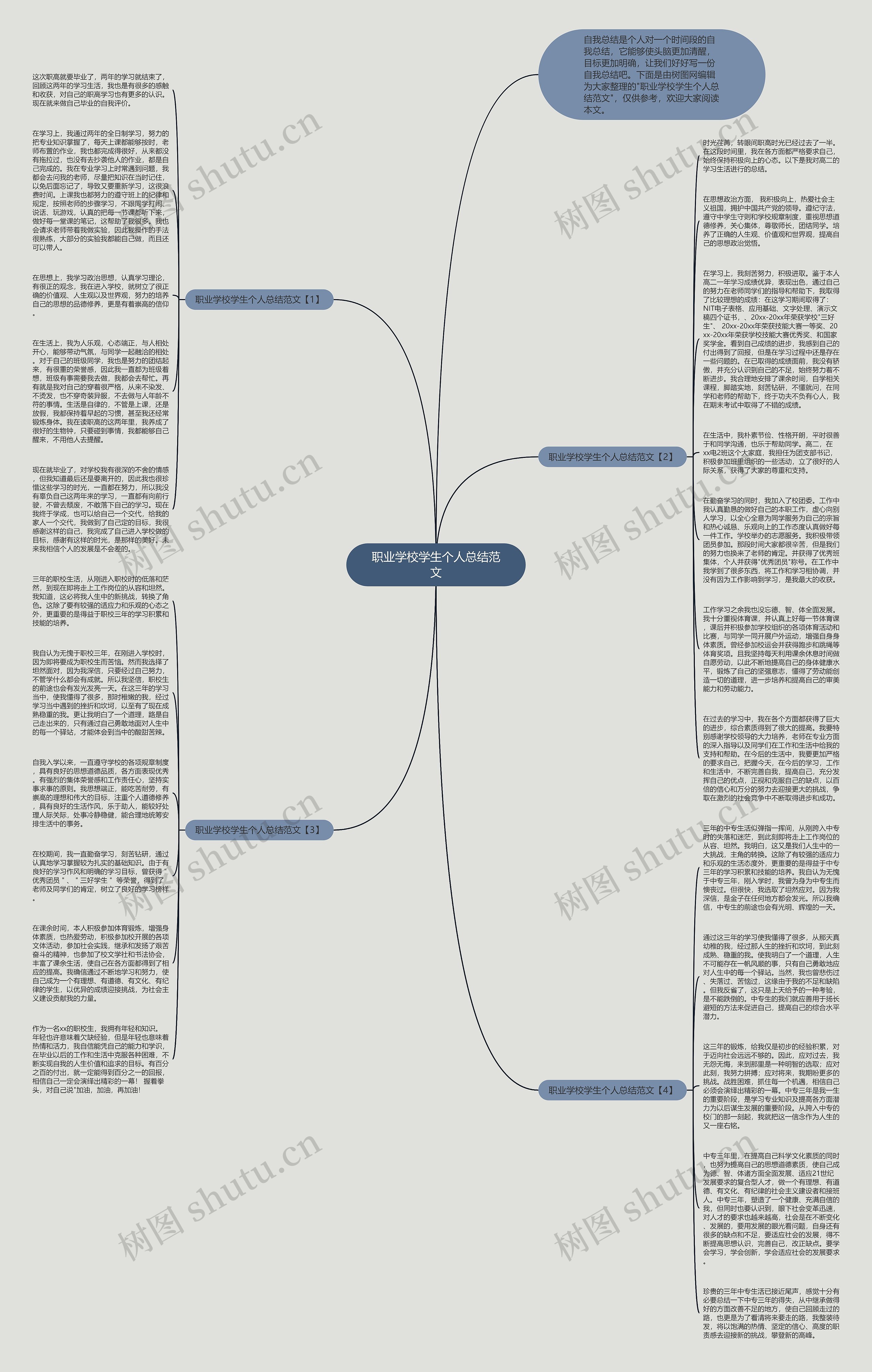 职业学校学生个人总结范文思维导图