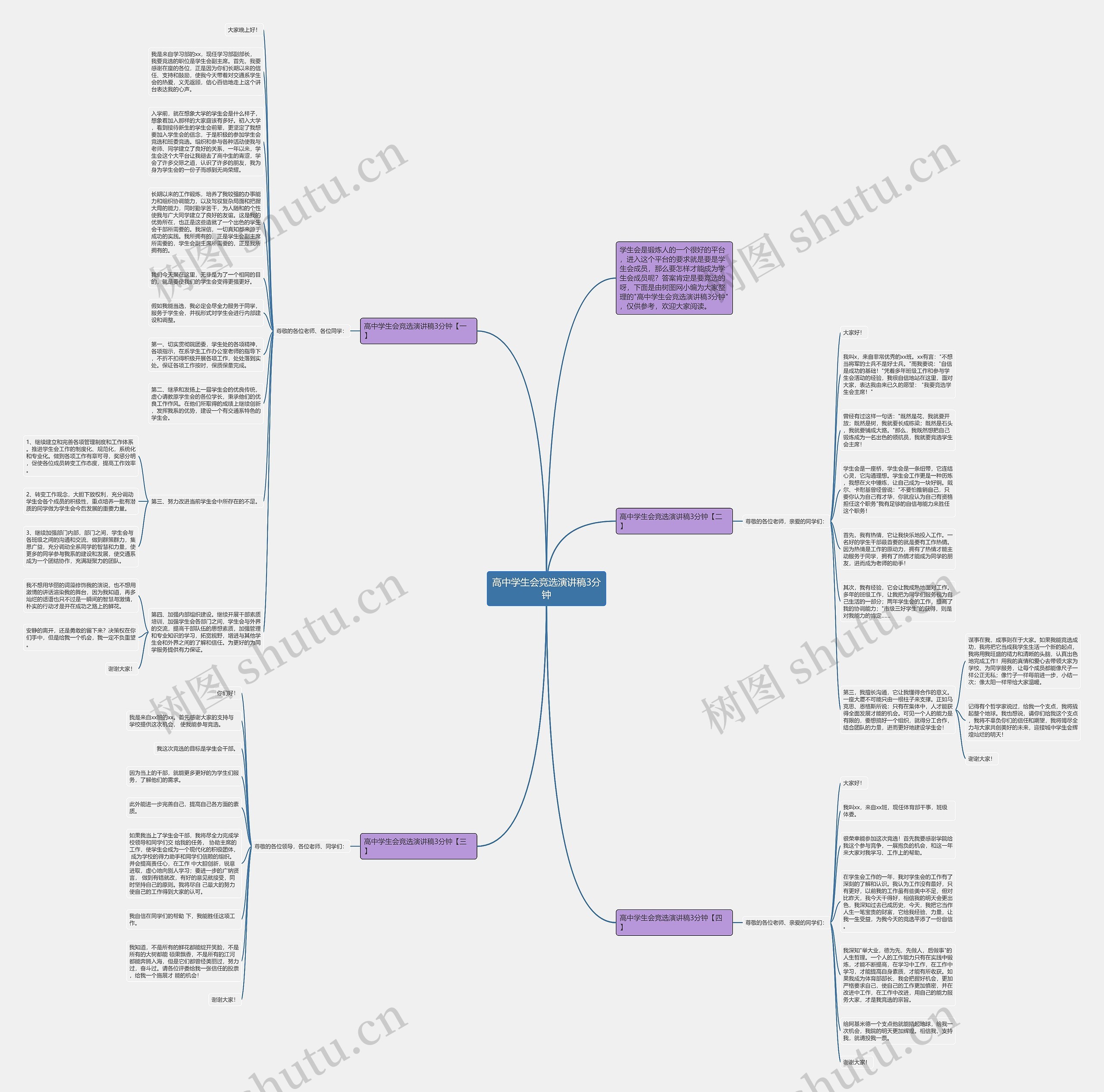 高中学生会竞选演讲稿3分钟思维导图