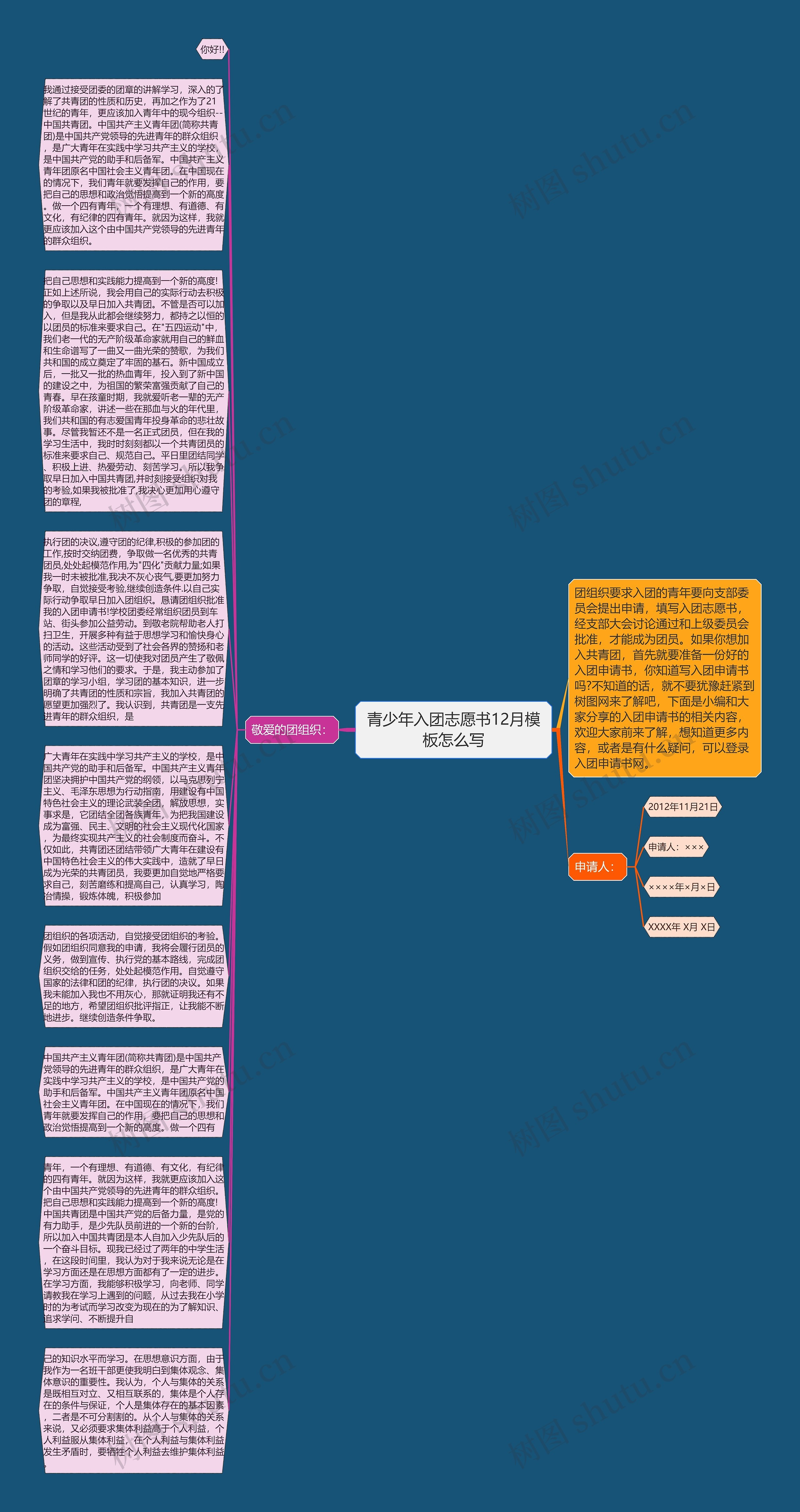 青少年入团志愿书12月模板怎么写