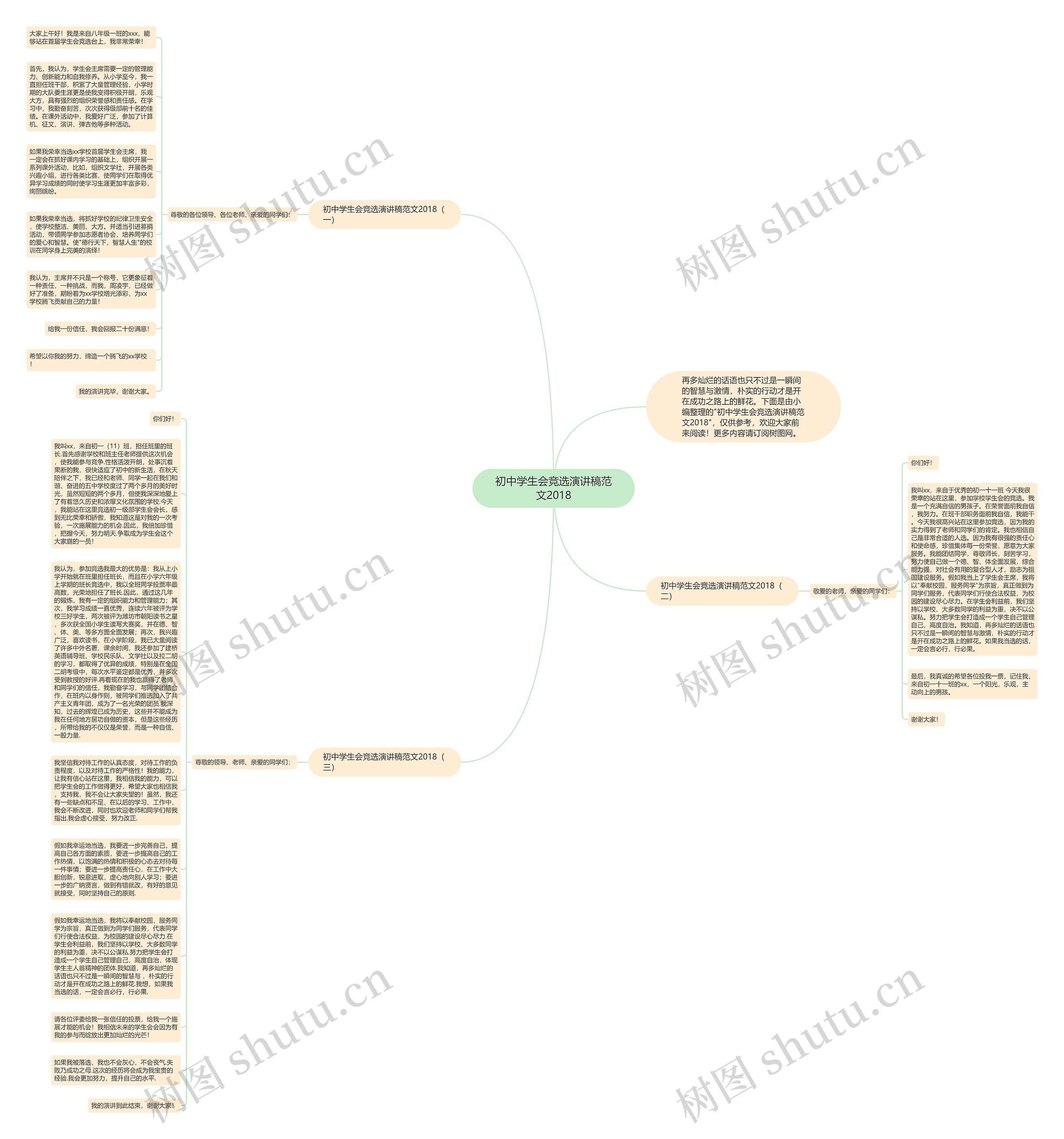 初中学生会竞选演讲稿范文2018思维导图