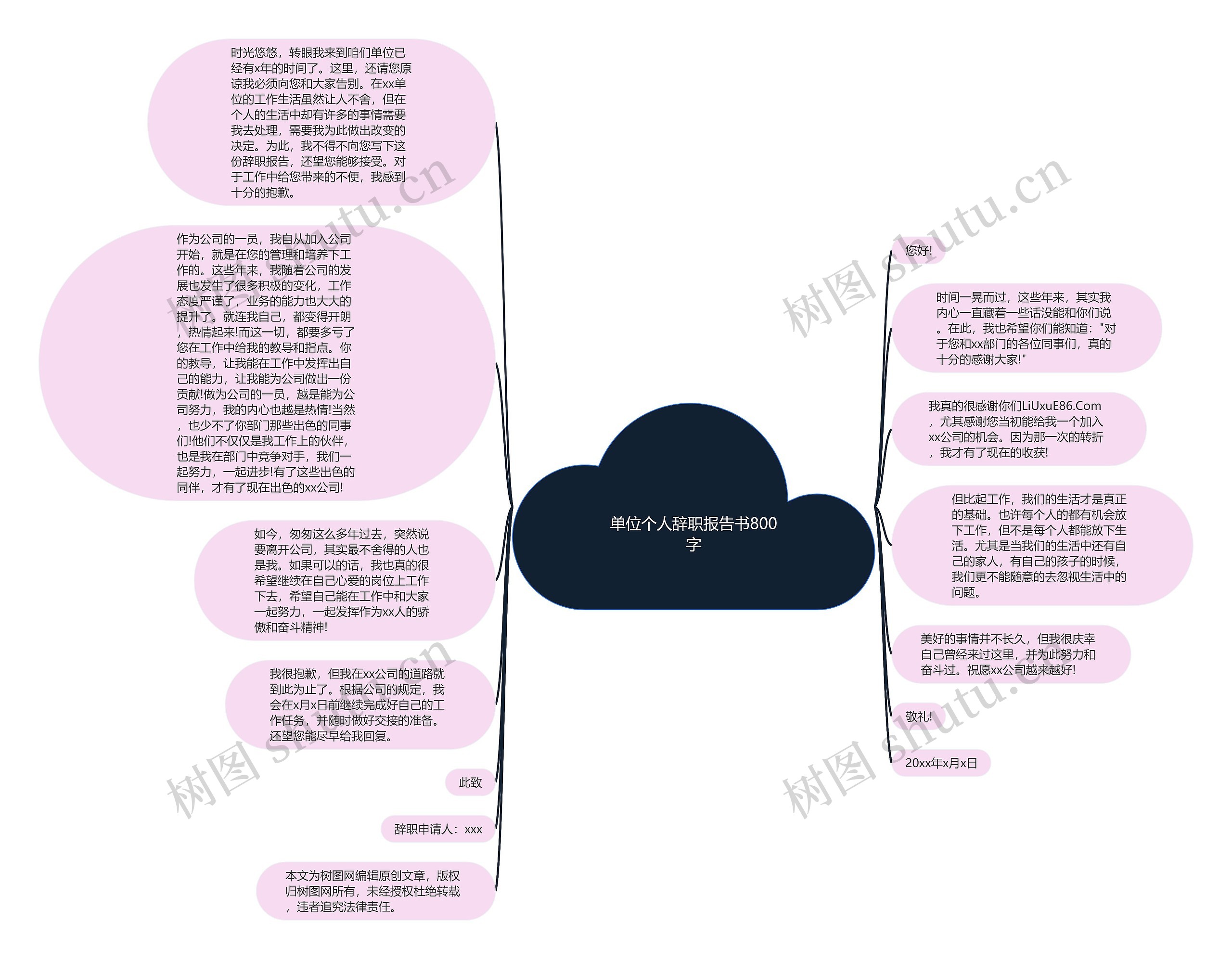 单位个人辞职报告书800字