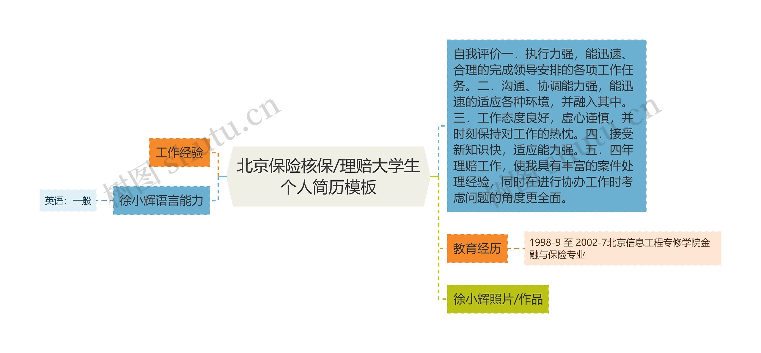 北京保险核保/理赔大学生个人简历思维导图