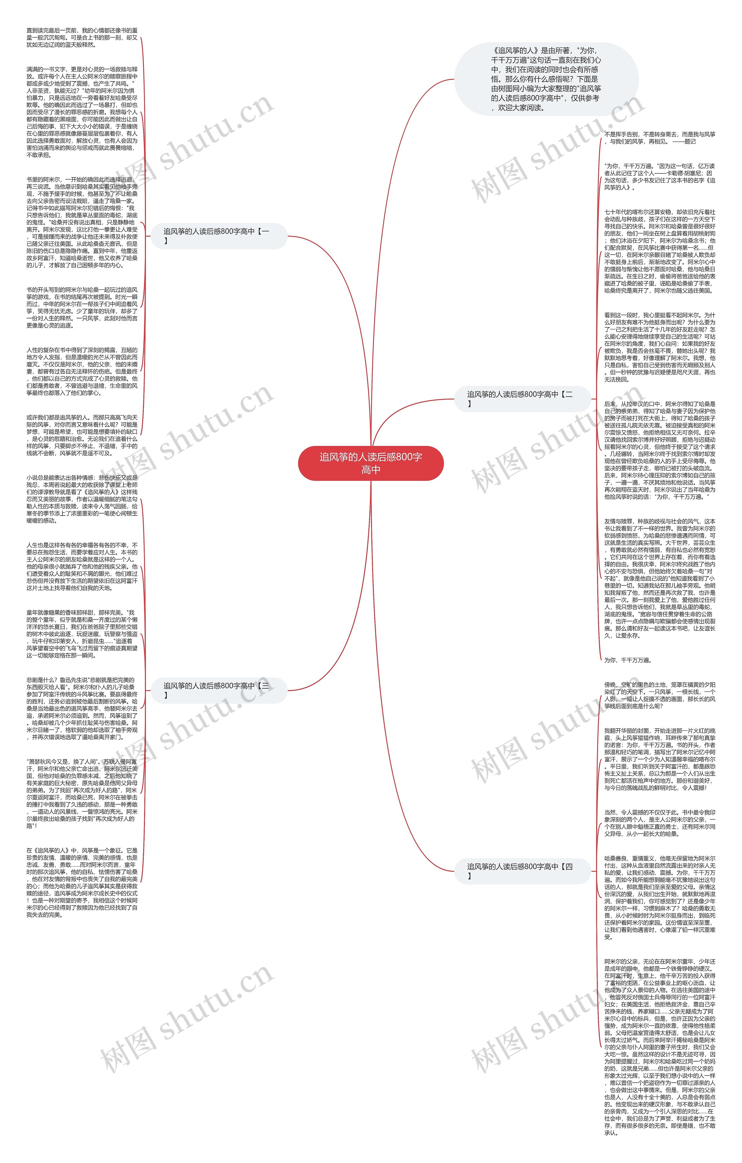 追风筝的人读后感800字高中思维导图