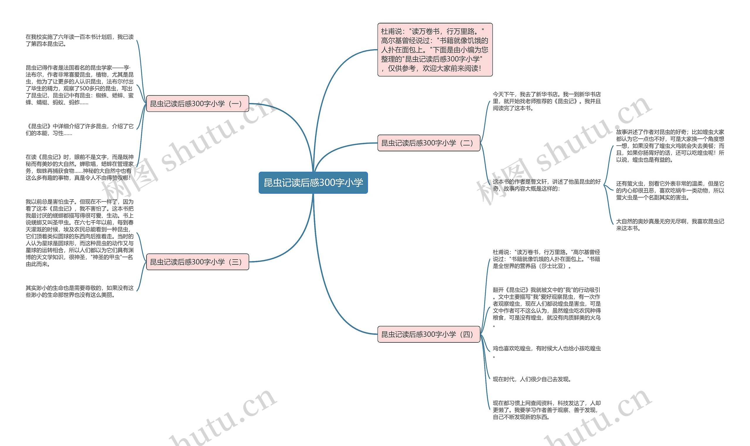 昆虫记读后感300字小学思维导图