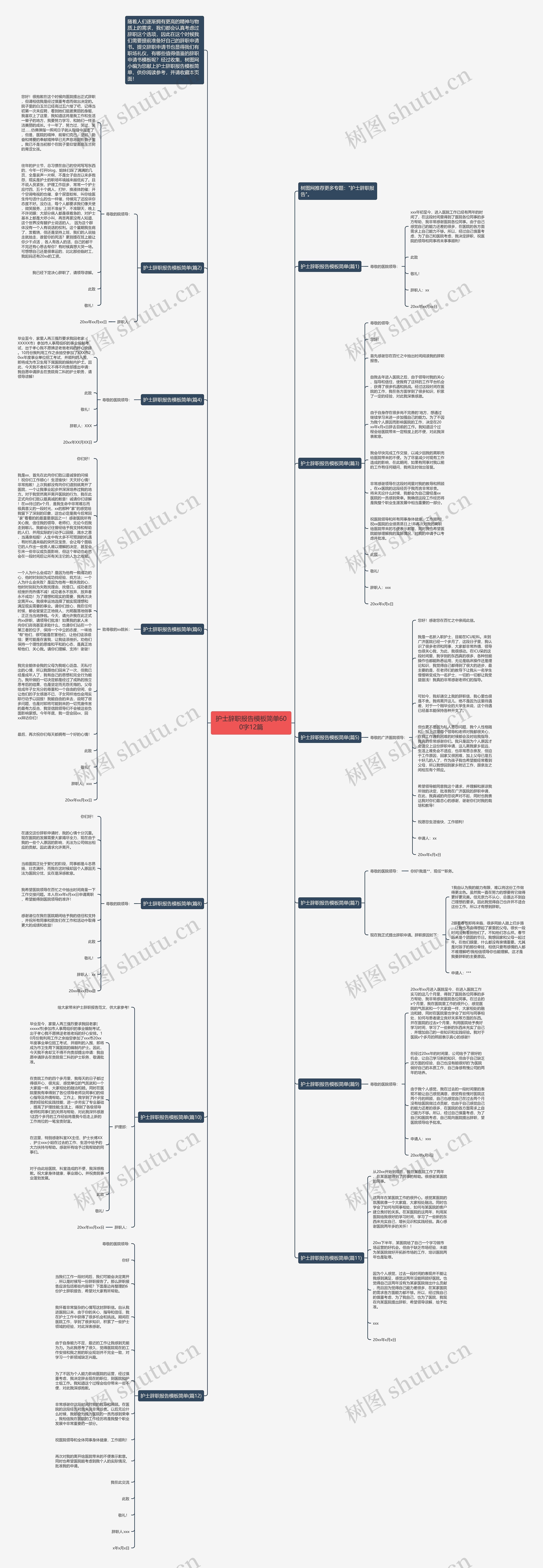 护士辞职报告简单600字12篇思维导图